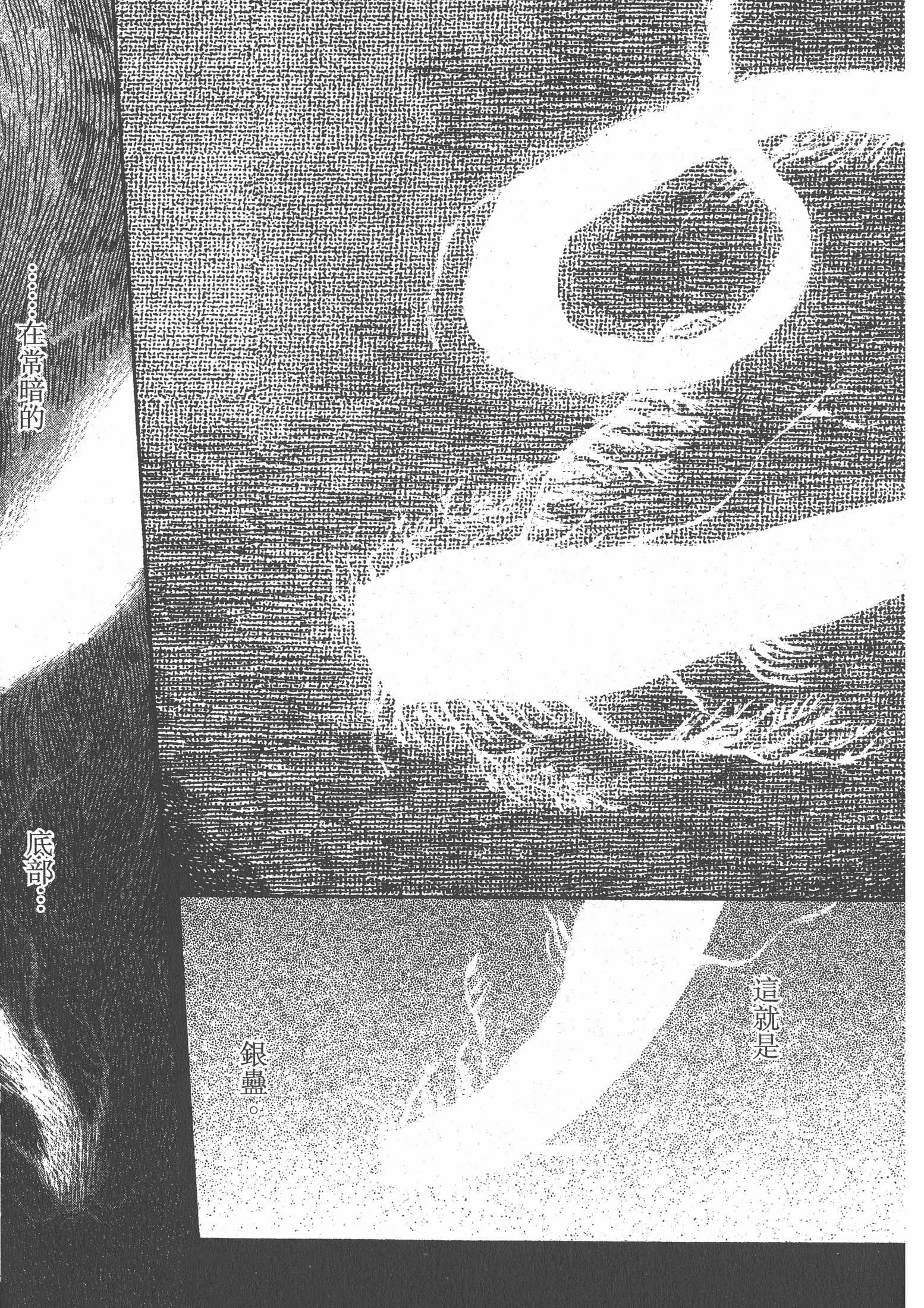 Page 231