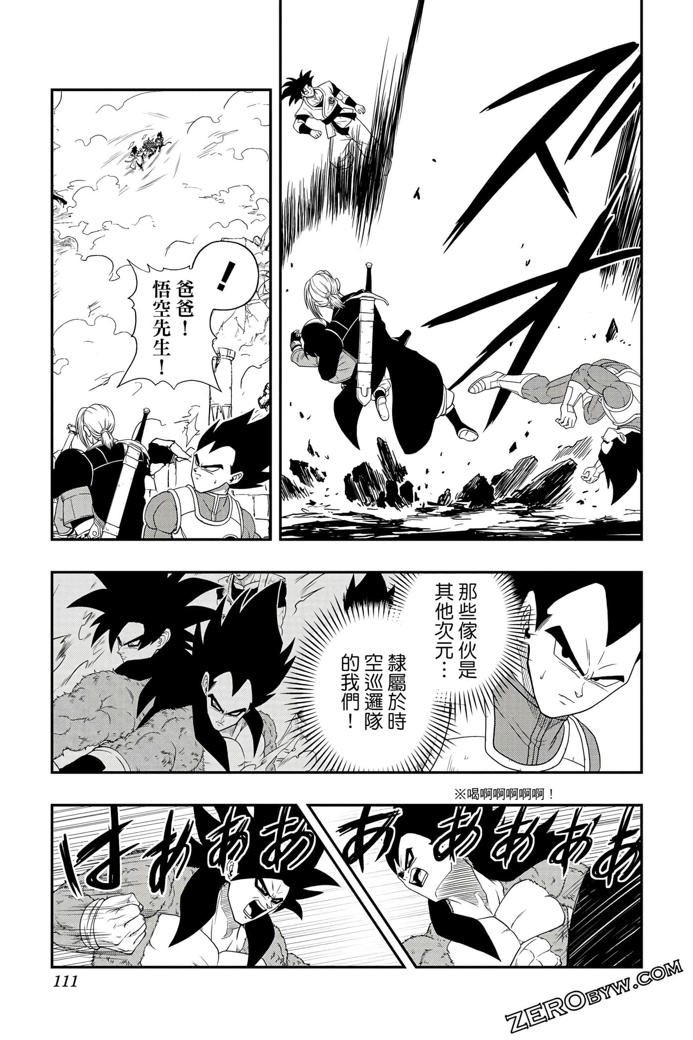 Page 110