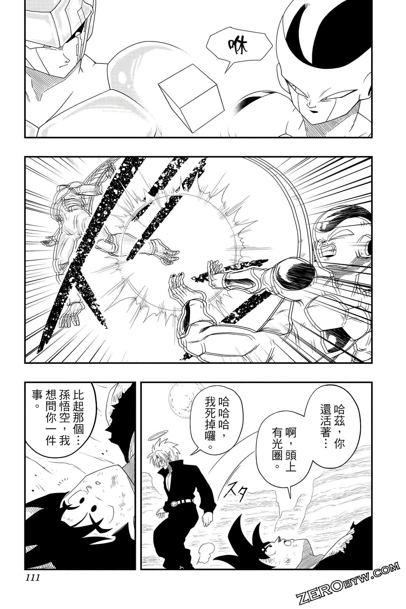 Page 110