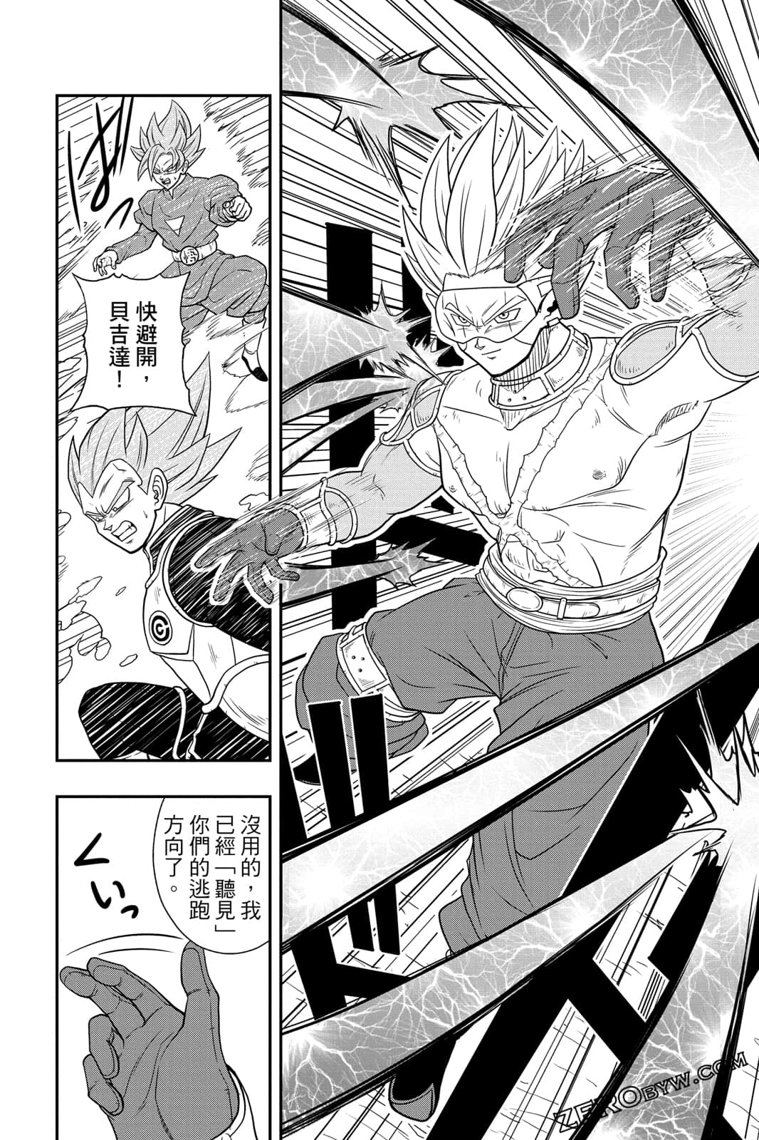 Page 113
