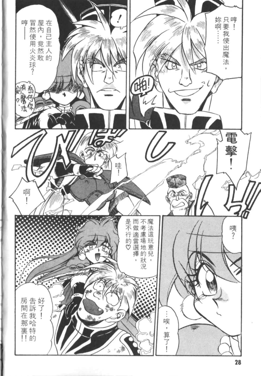 第 33 页