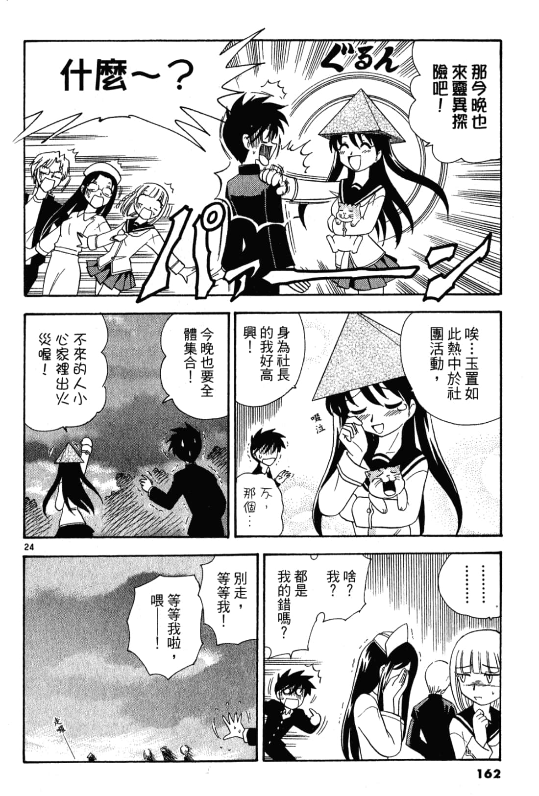 Page 163