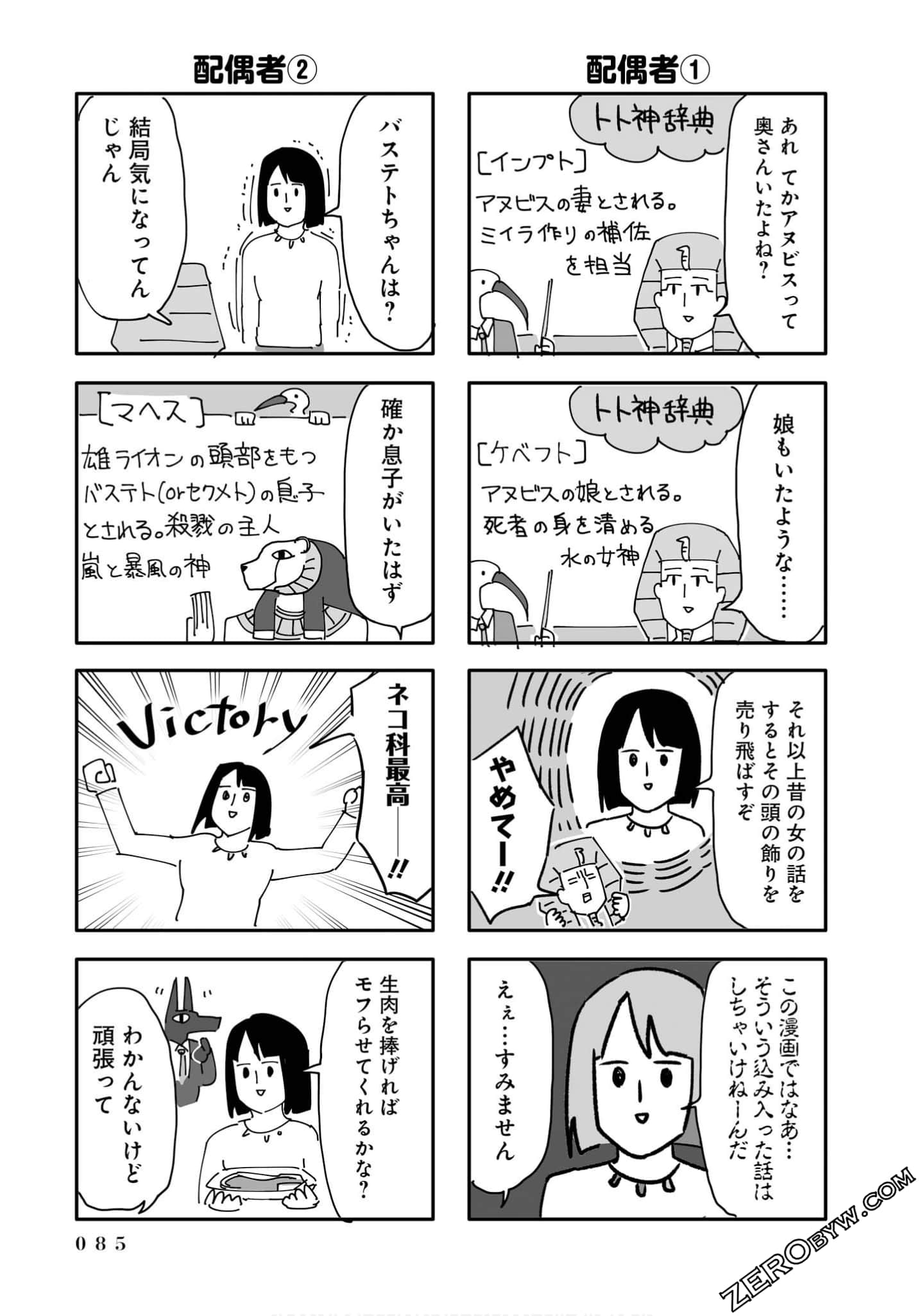 Page 85