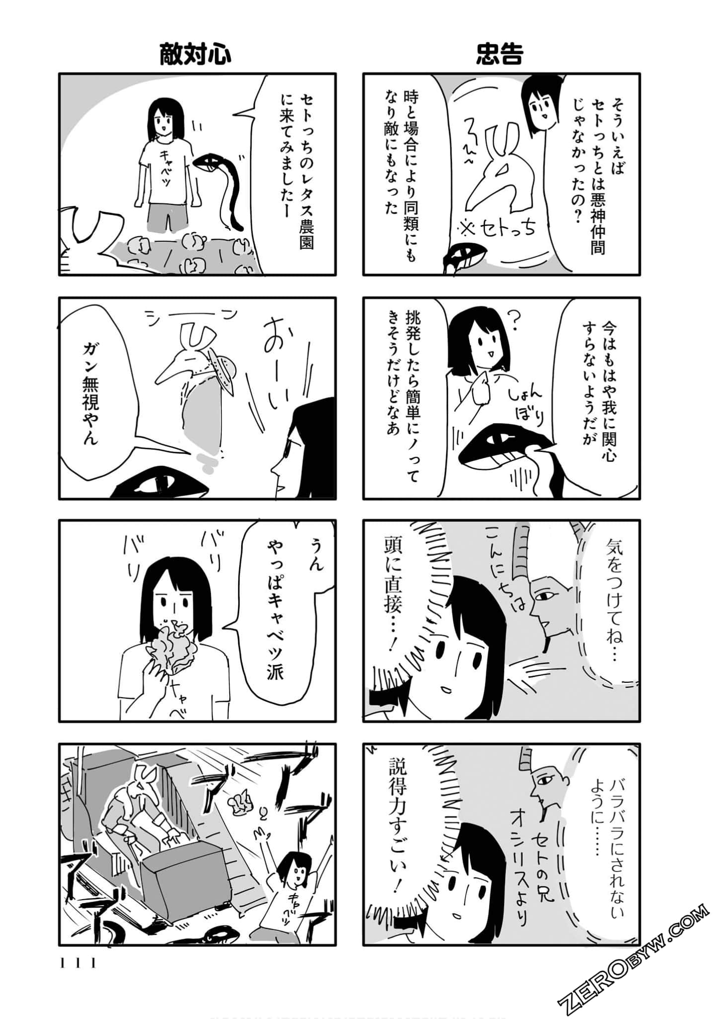 Page 111