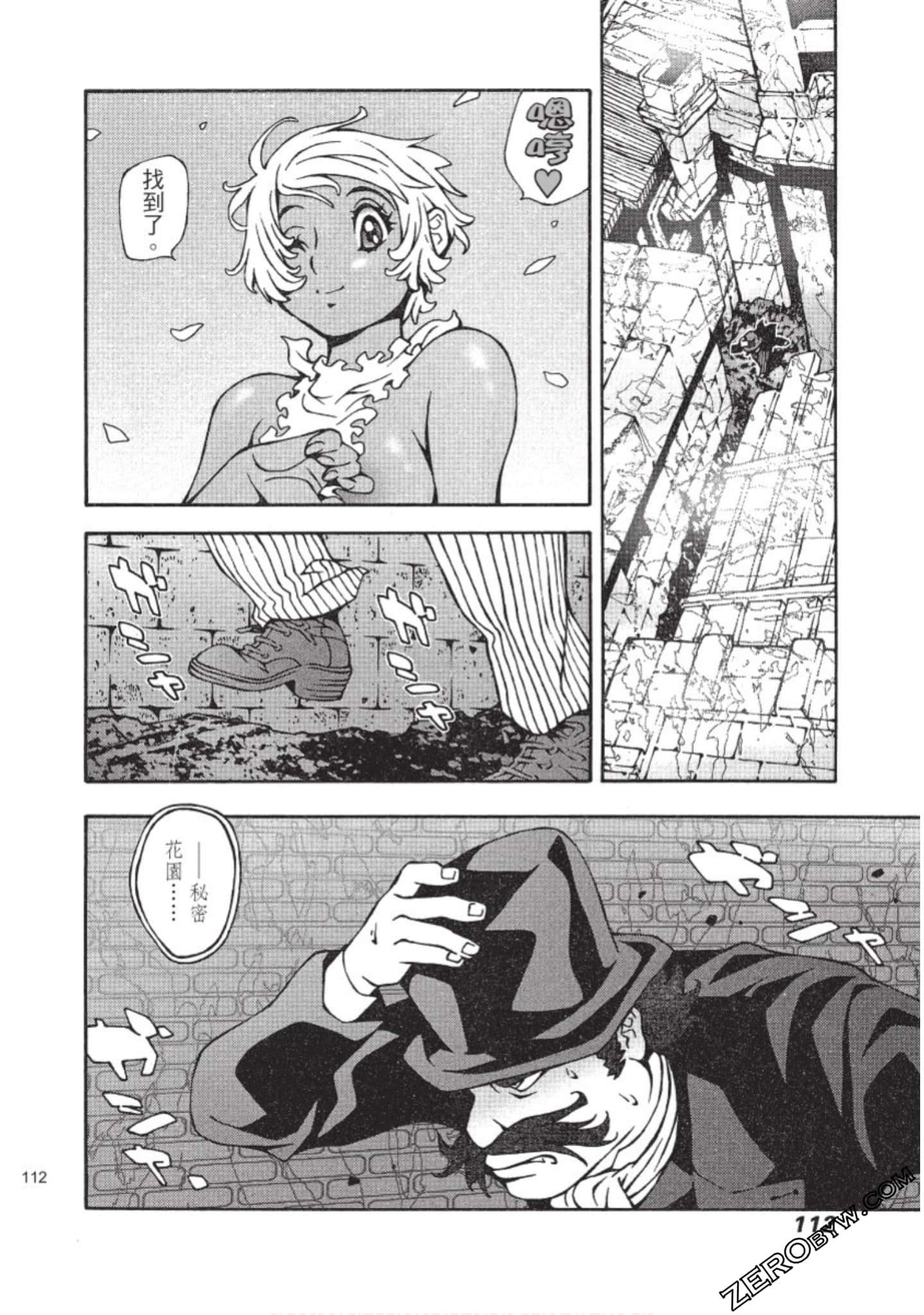 Page 113