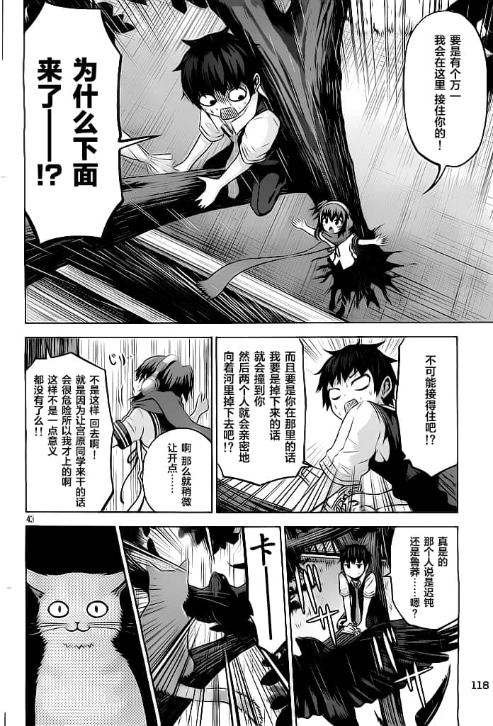 Page 43