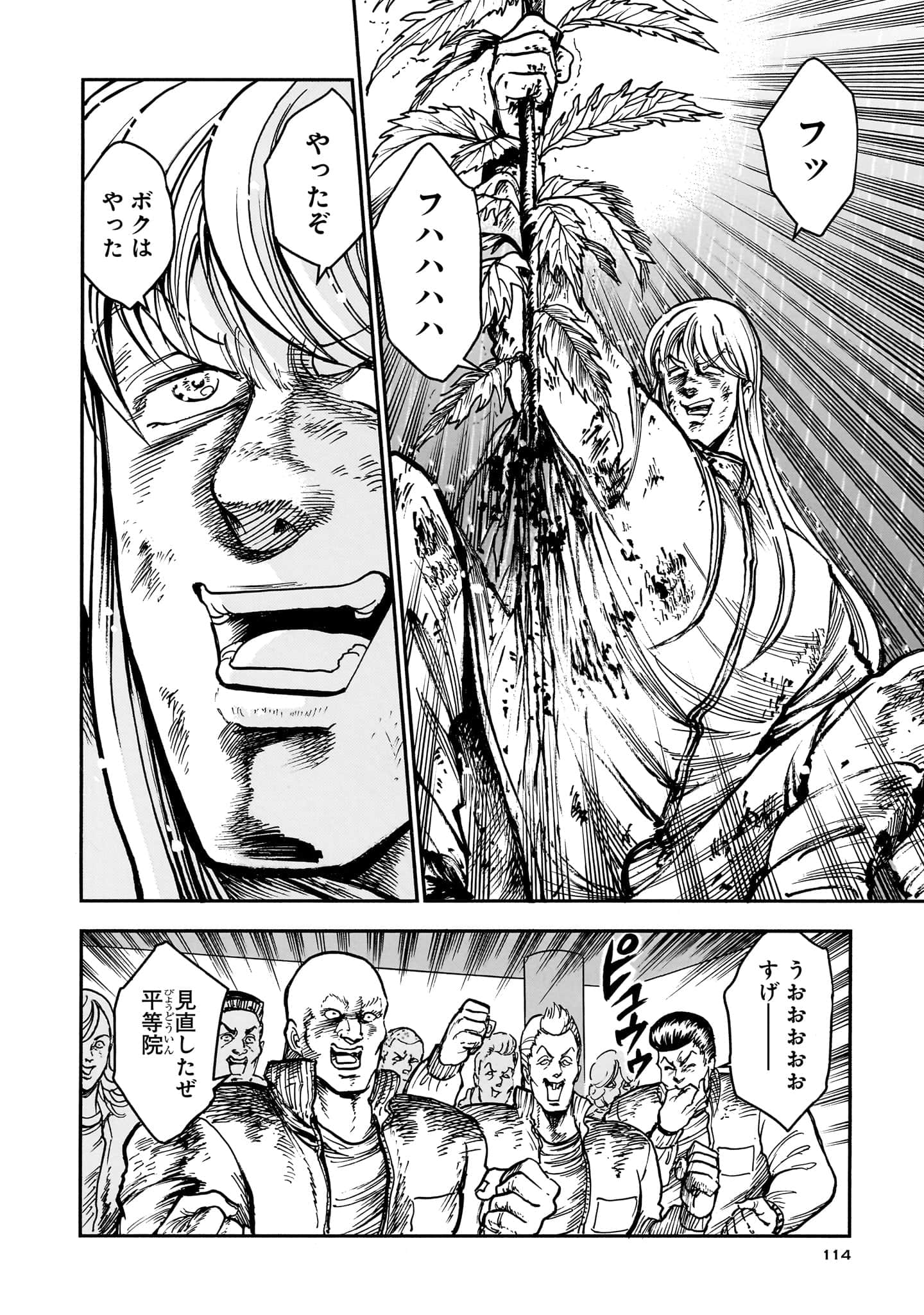 第 116 页