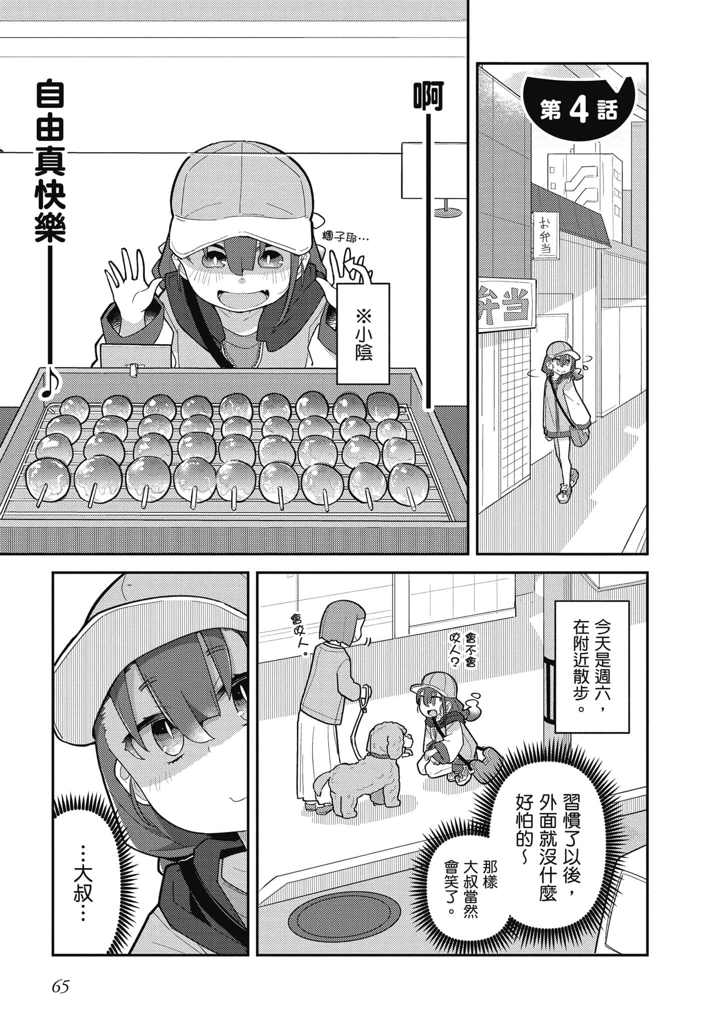 第 66 页