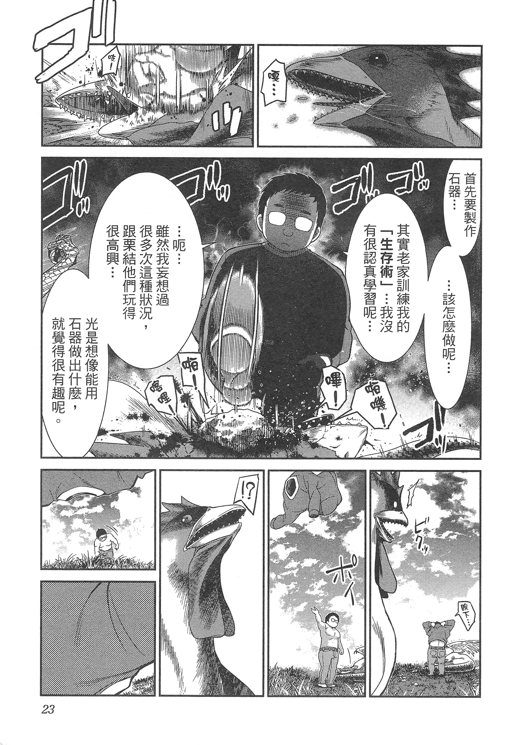 第 27 页