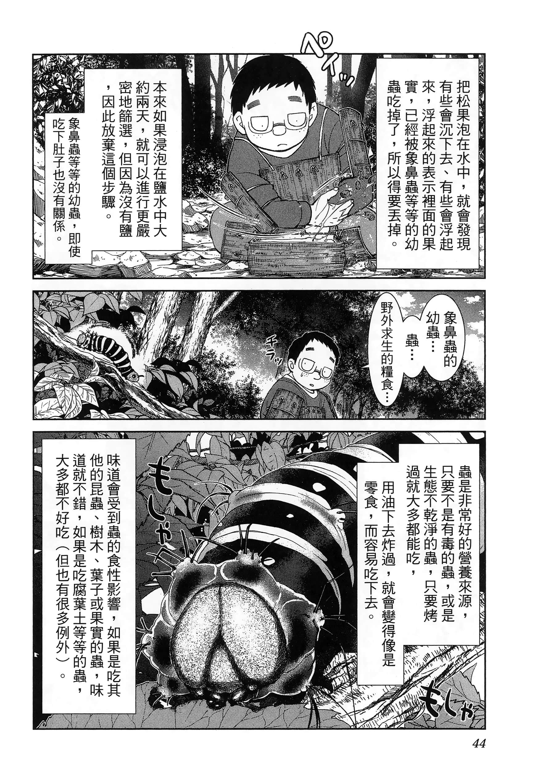 第 48 页