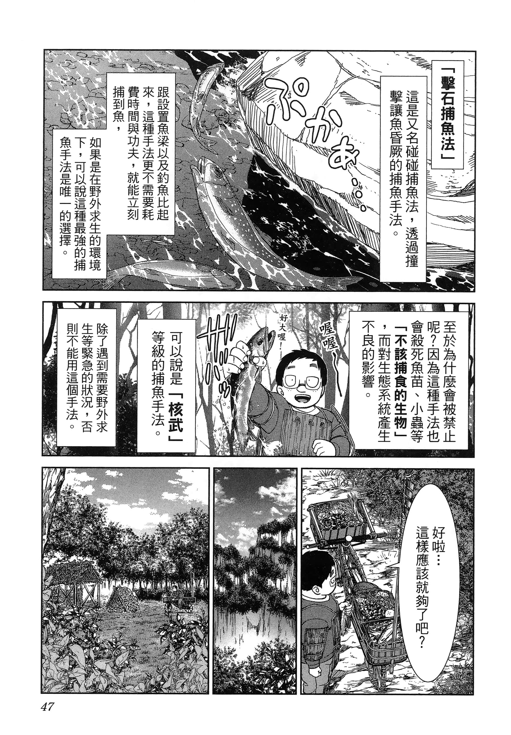 第 51 页