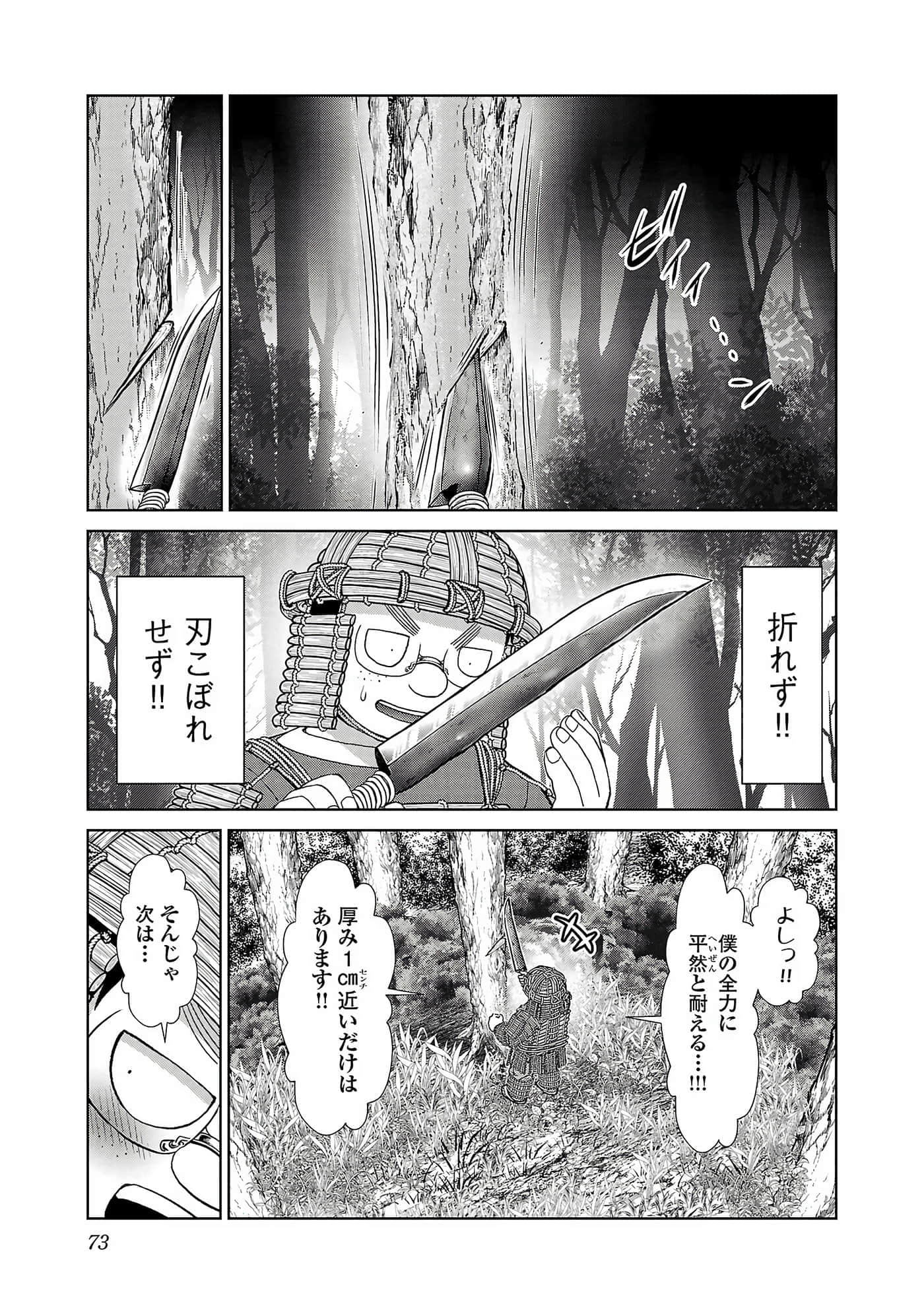 第 75 页