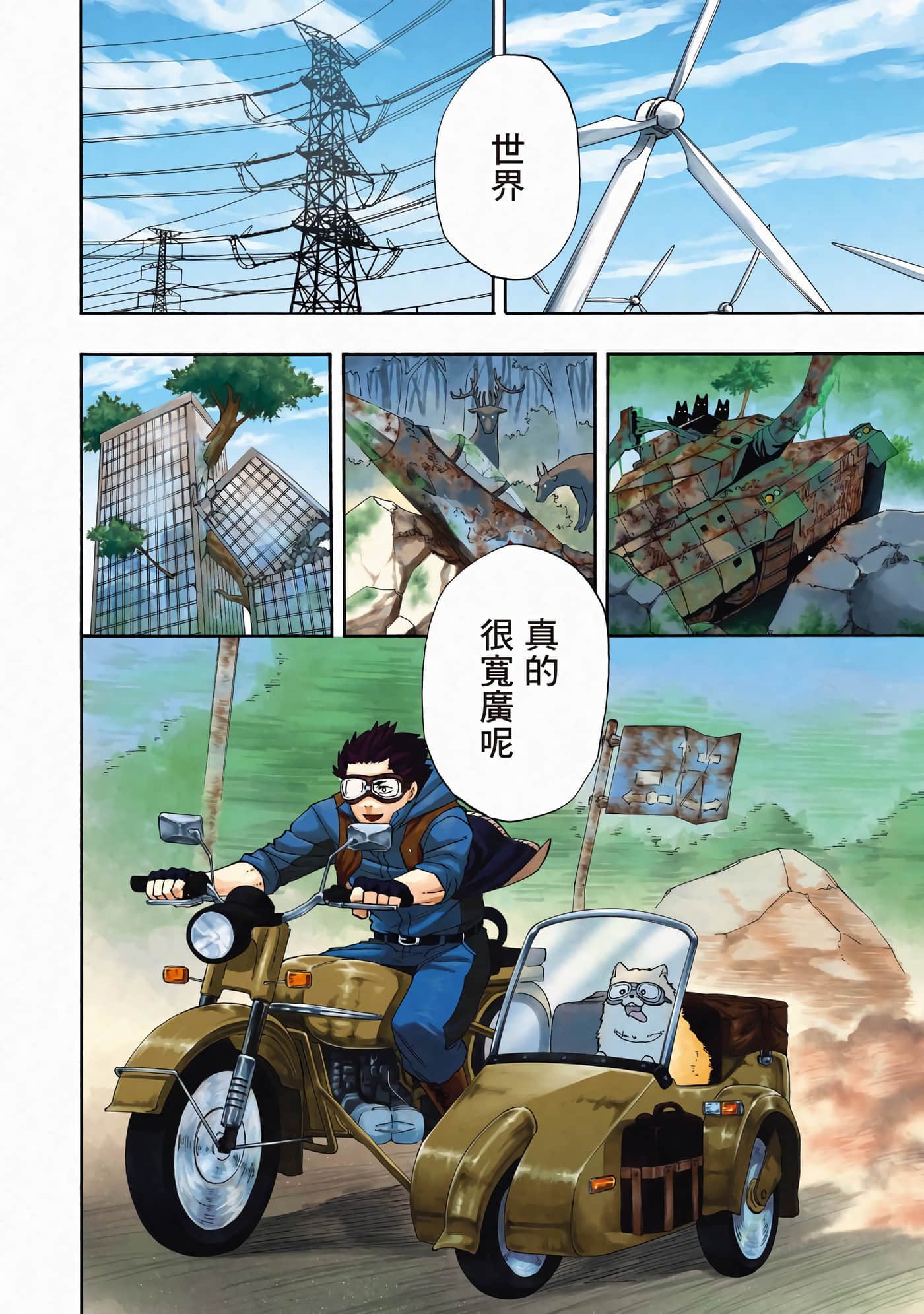 Page 3