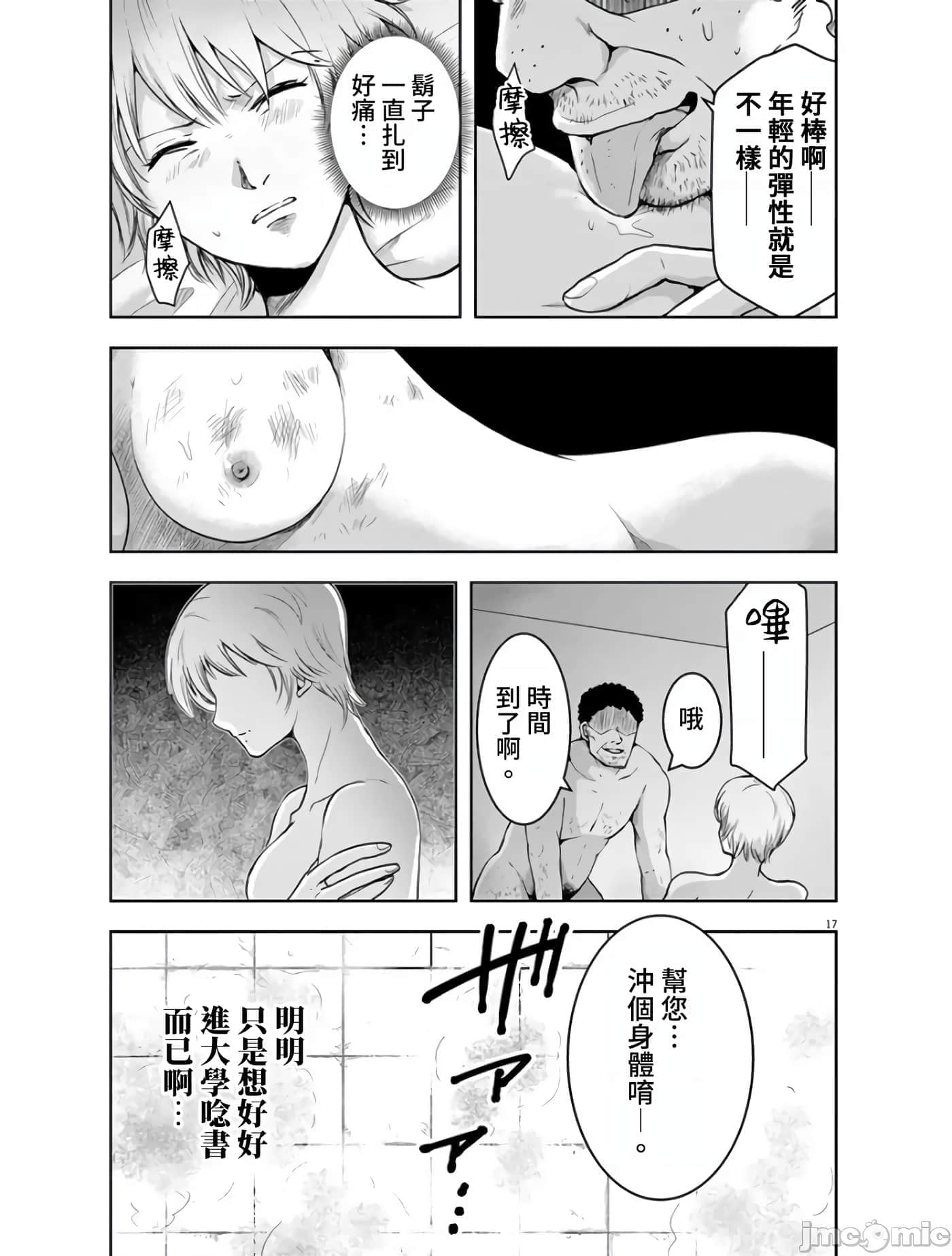 第 17 页