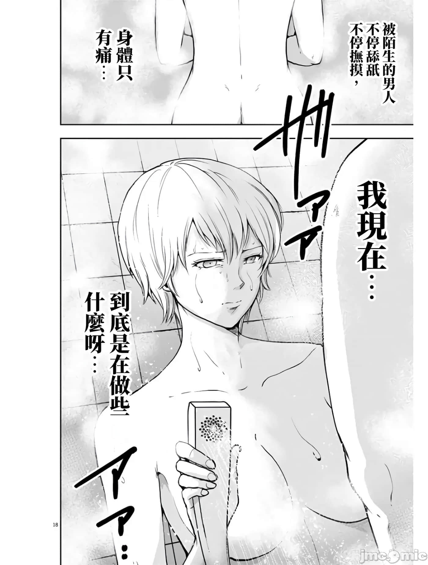第 18 页