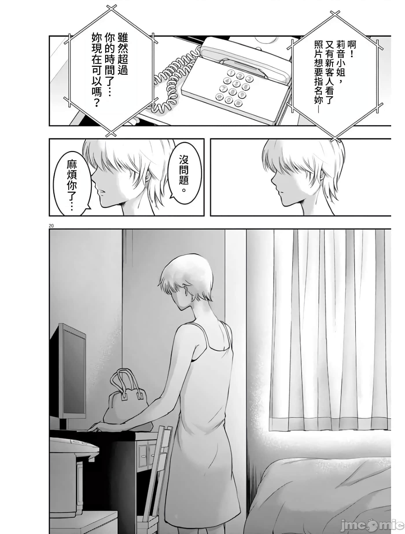 第 20 页