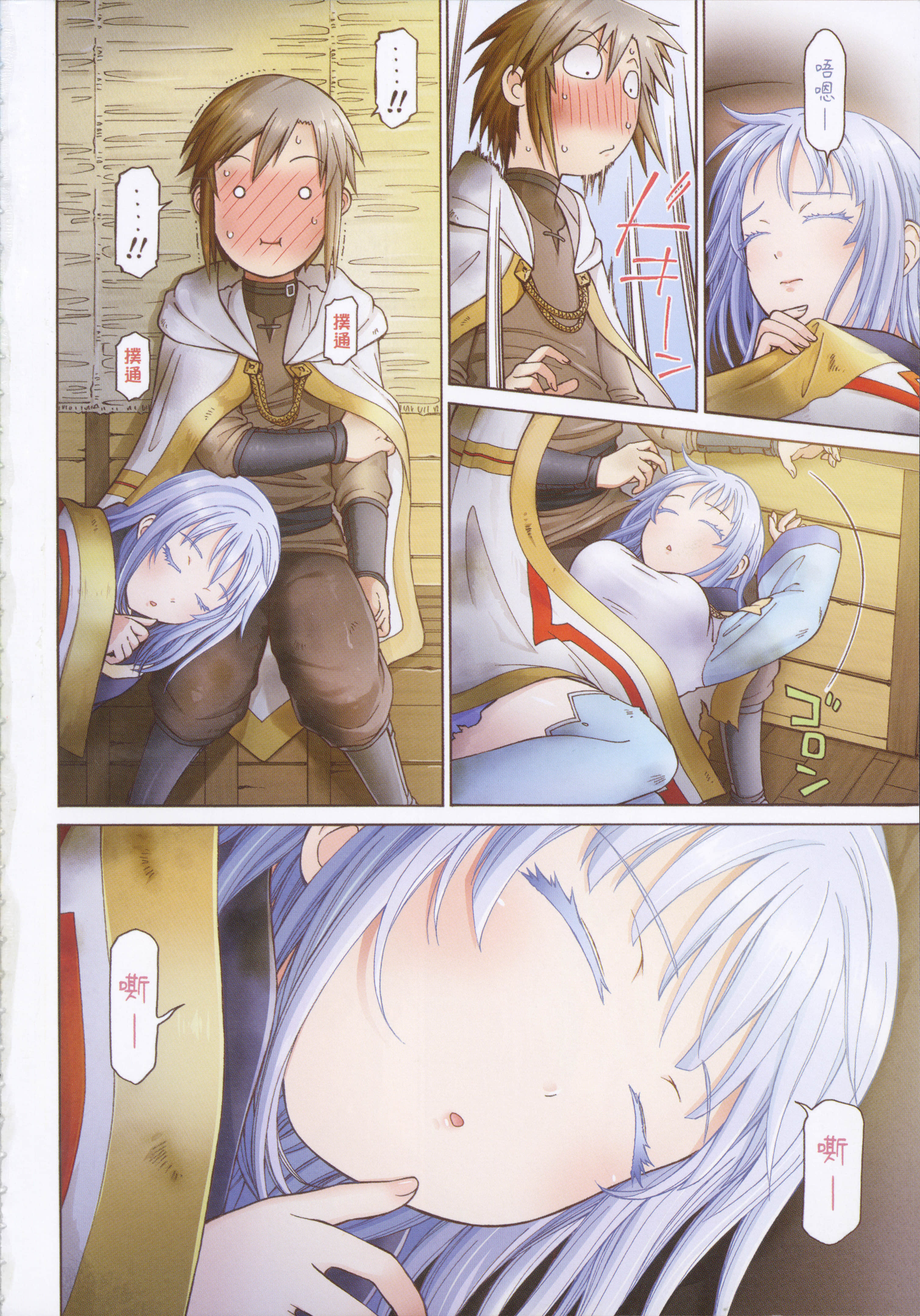 第 6 页