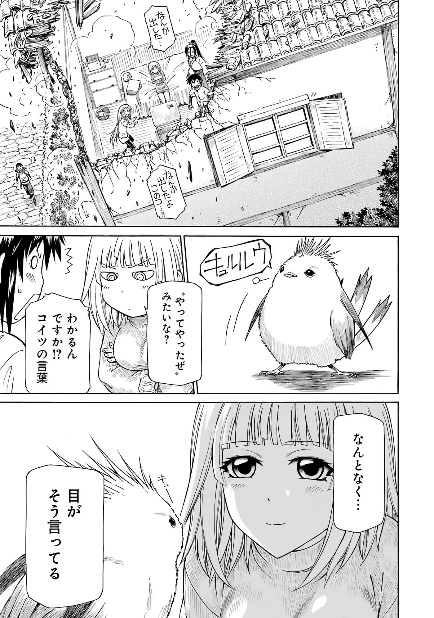 第 11 页