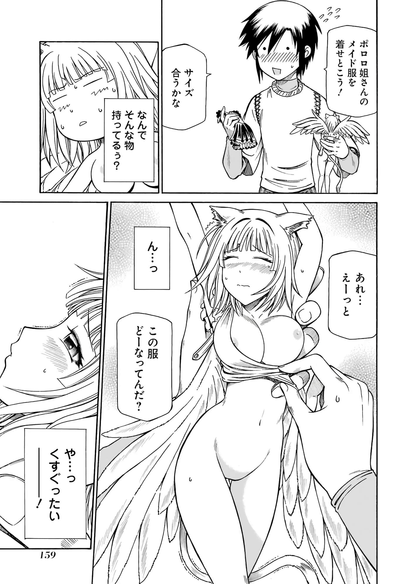 第 161 页