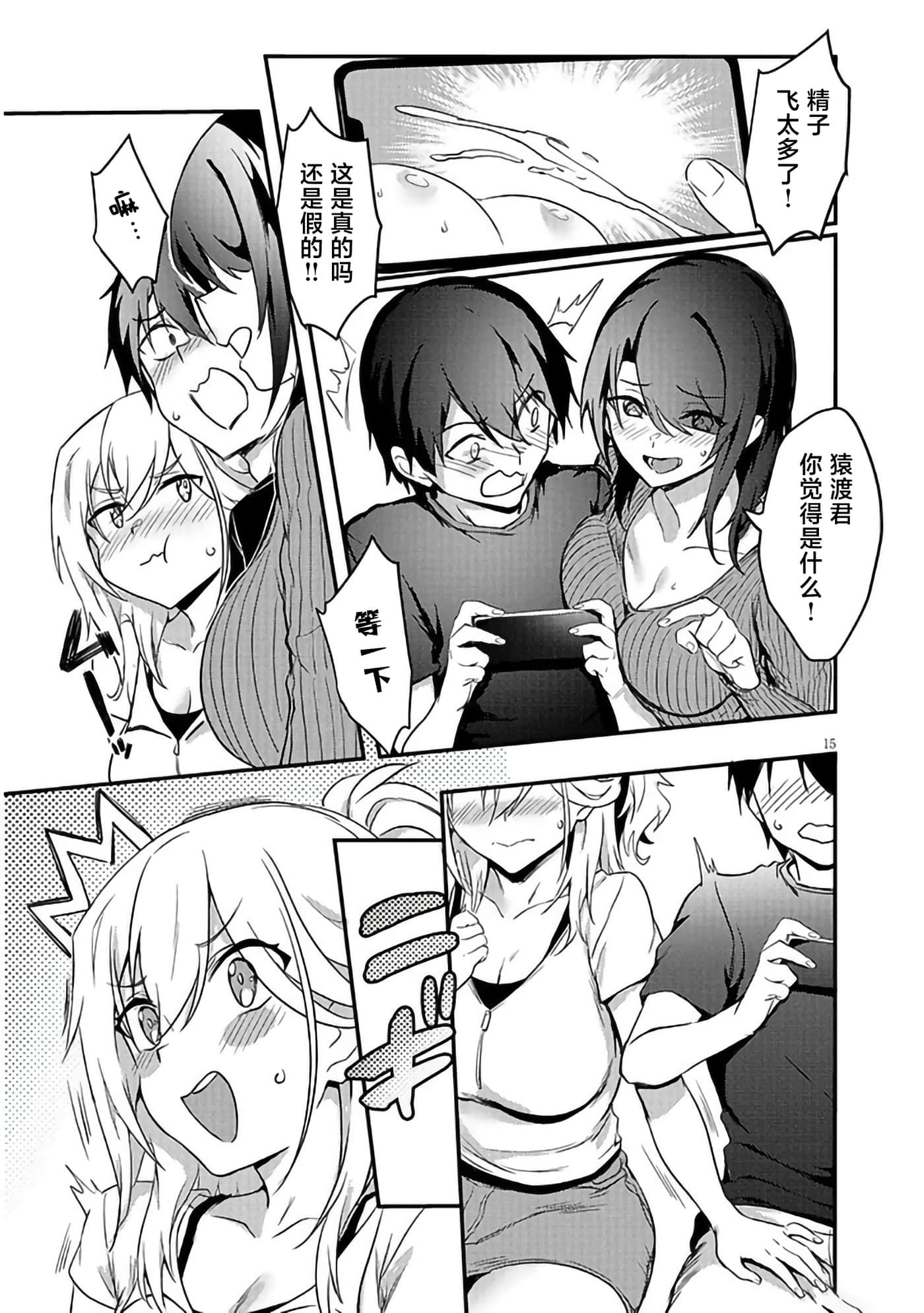 第 15 页