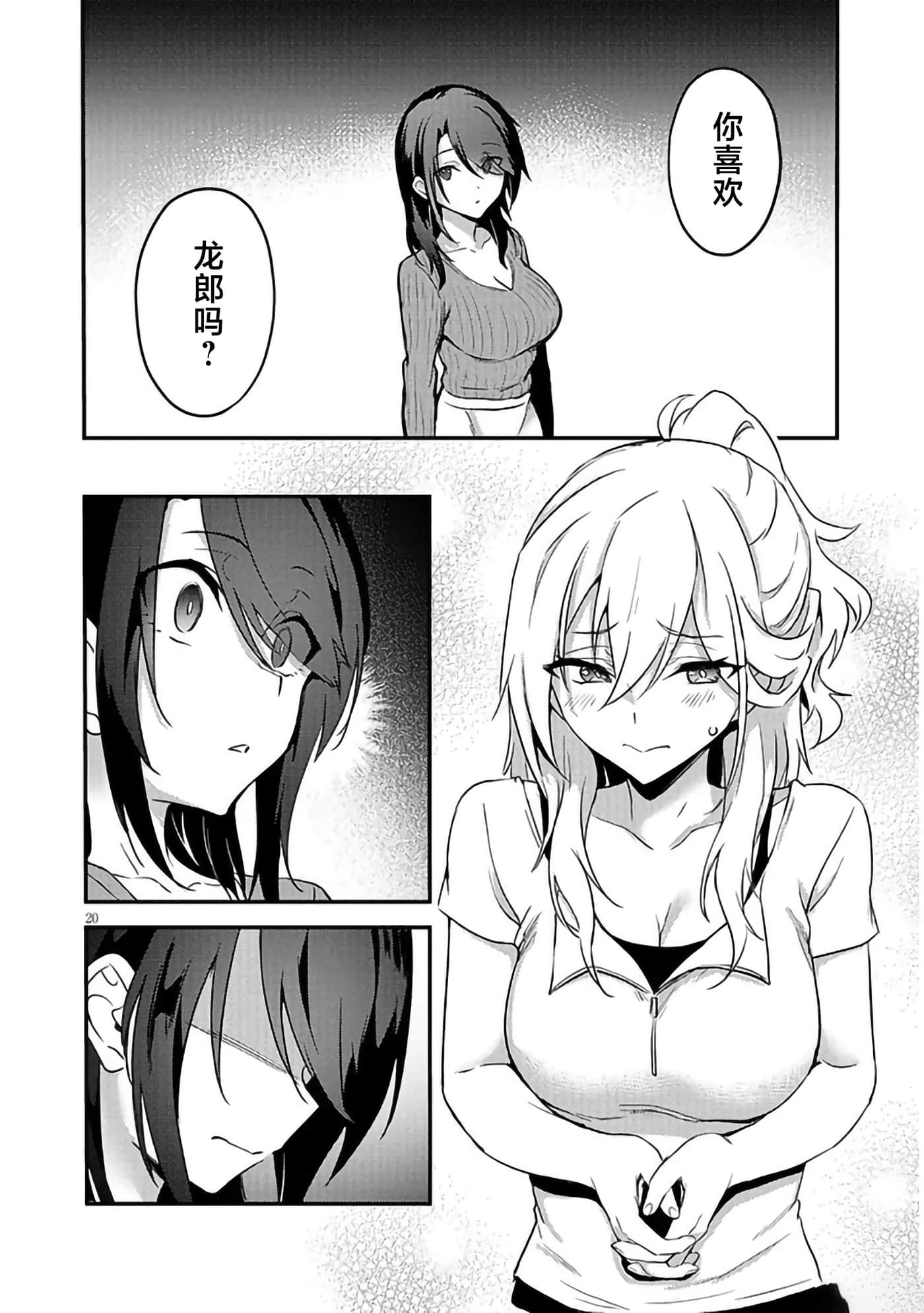 第 20 页