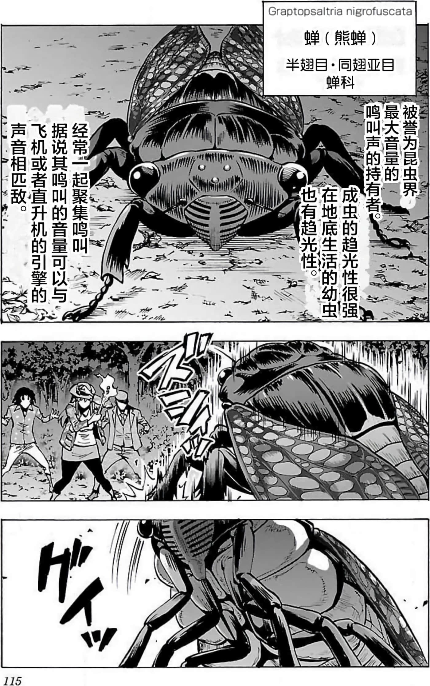 Page 116