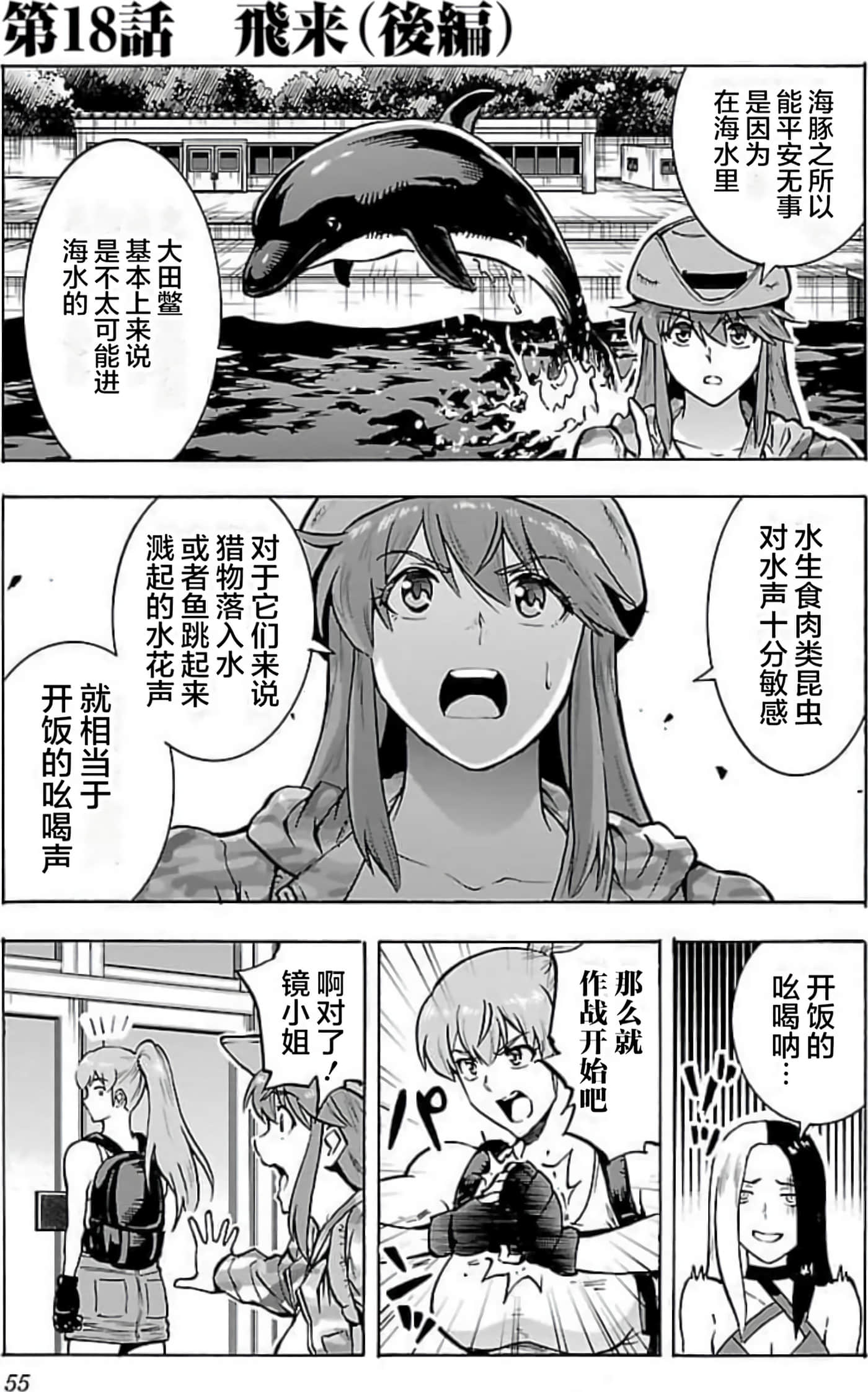 Page 55