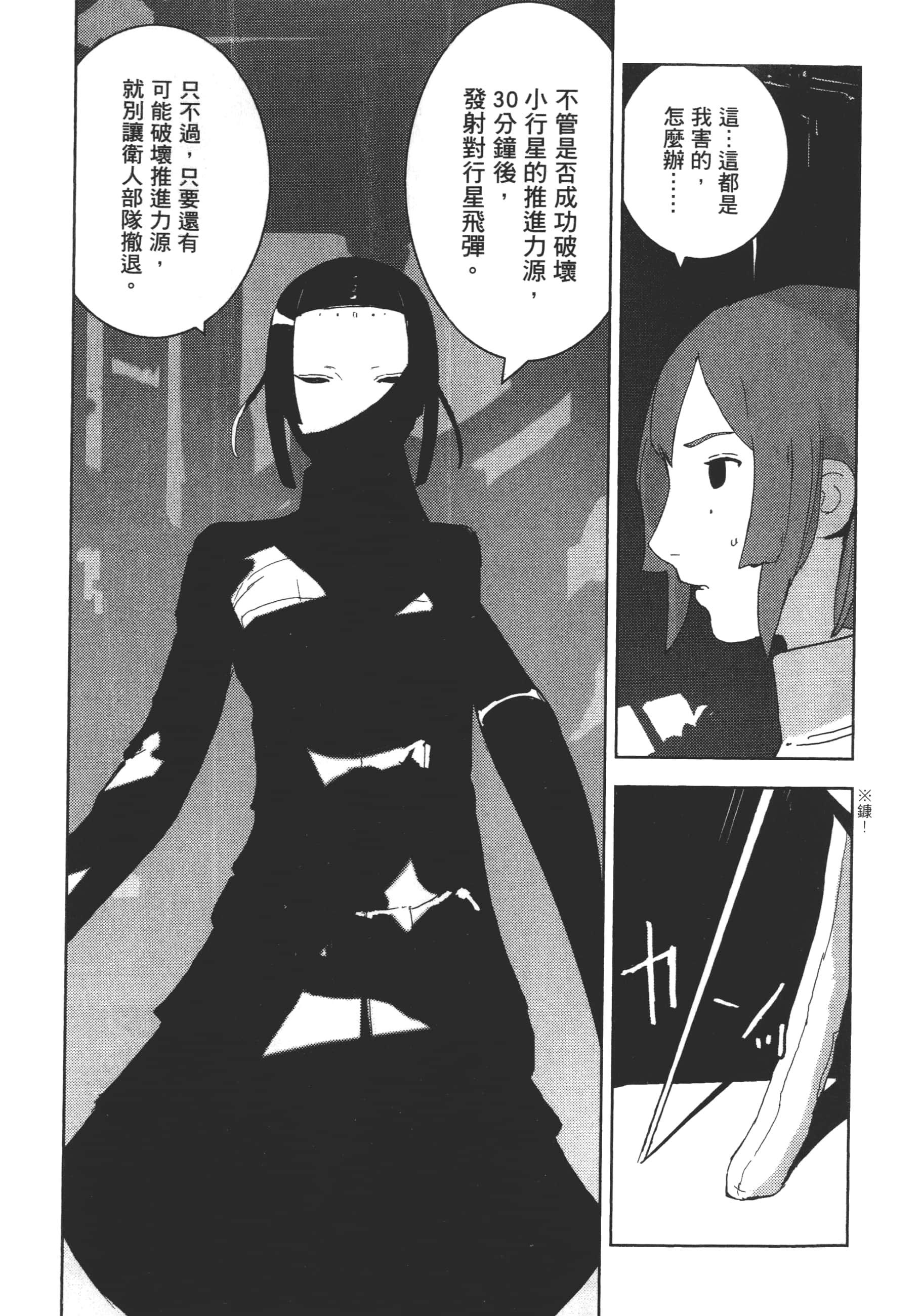 Page 111