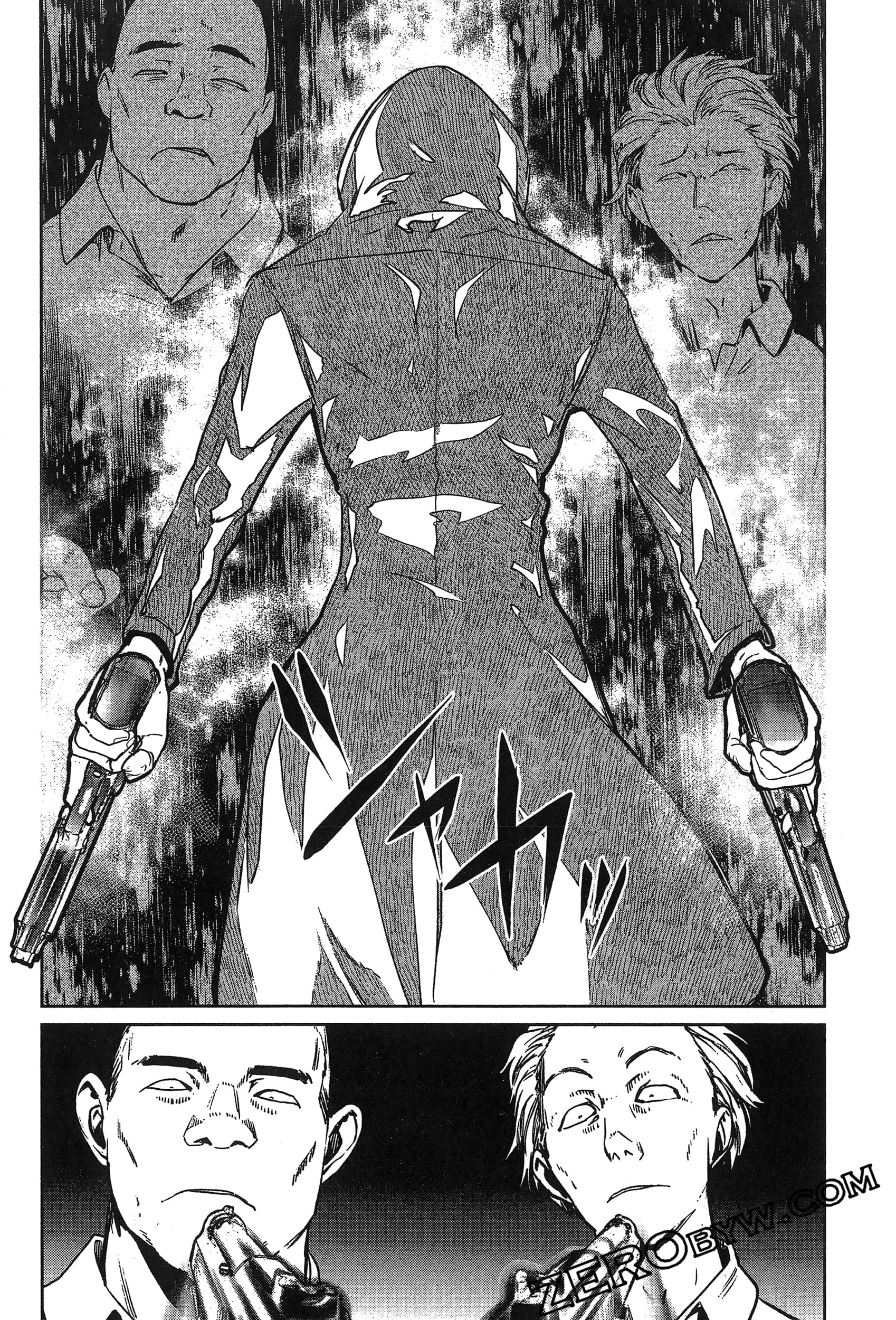 Page 117