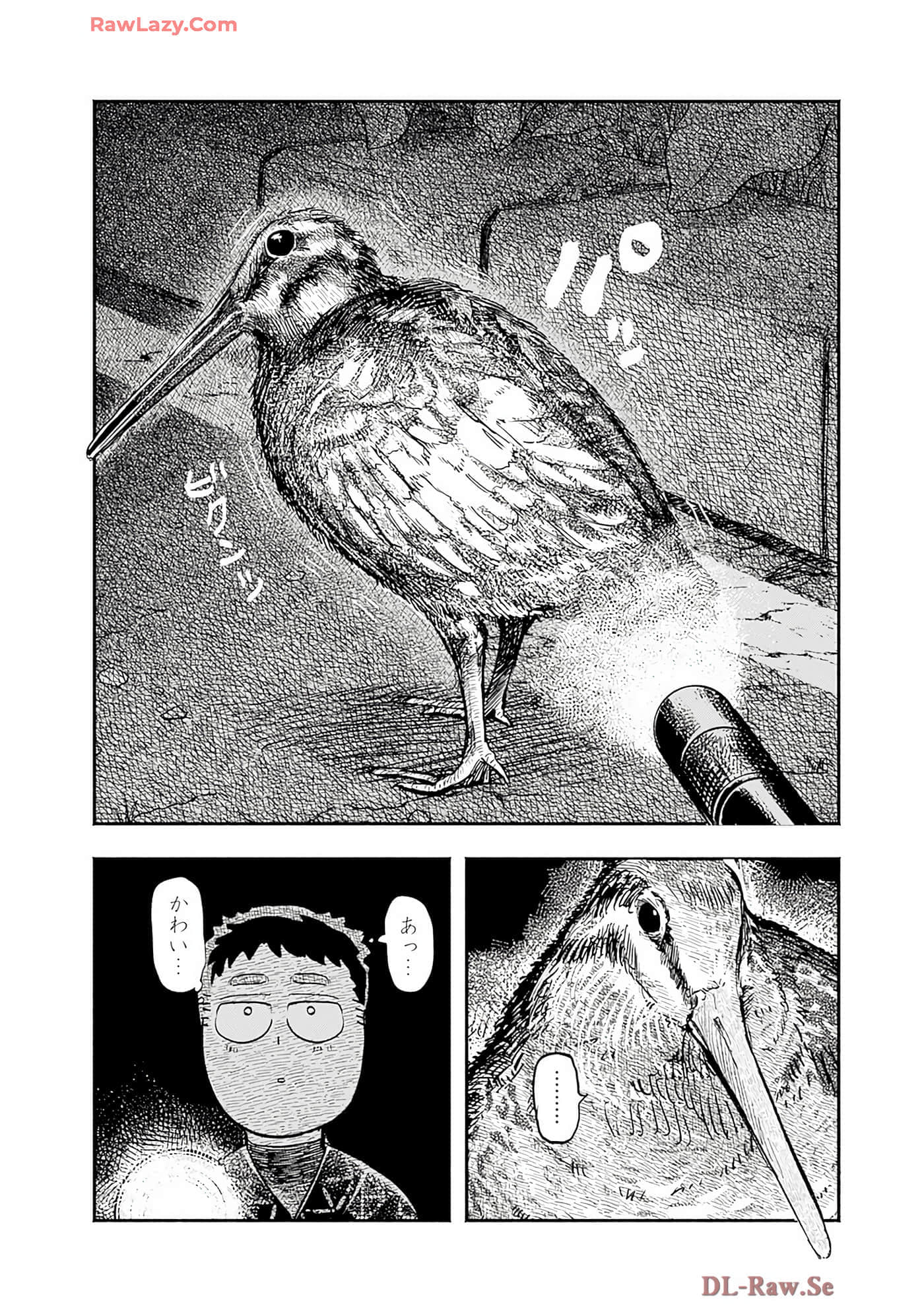 第 51 页