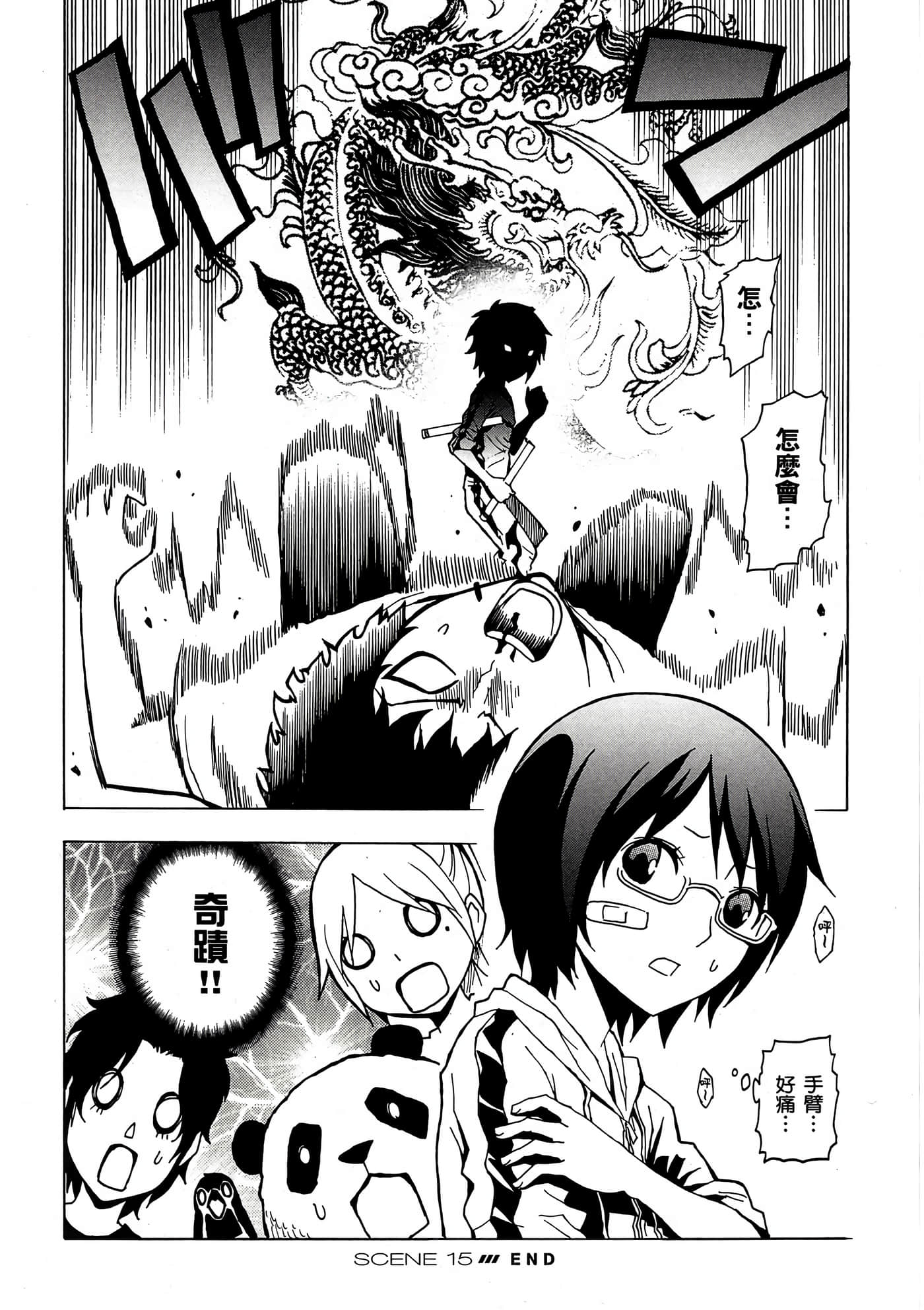 Page 113
