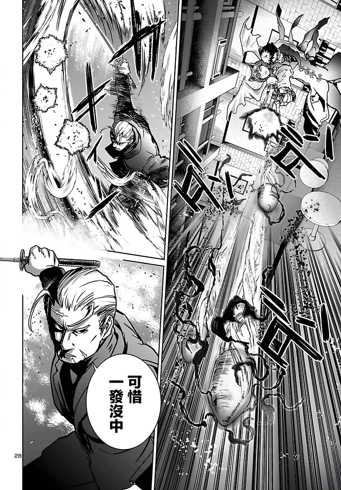 第 28 页