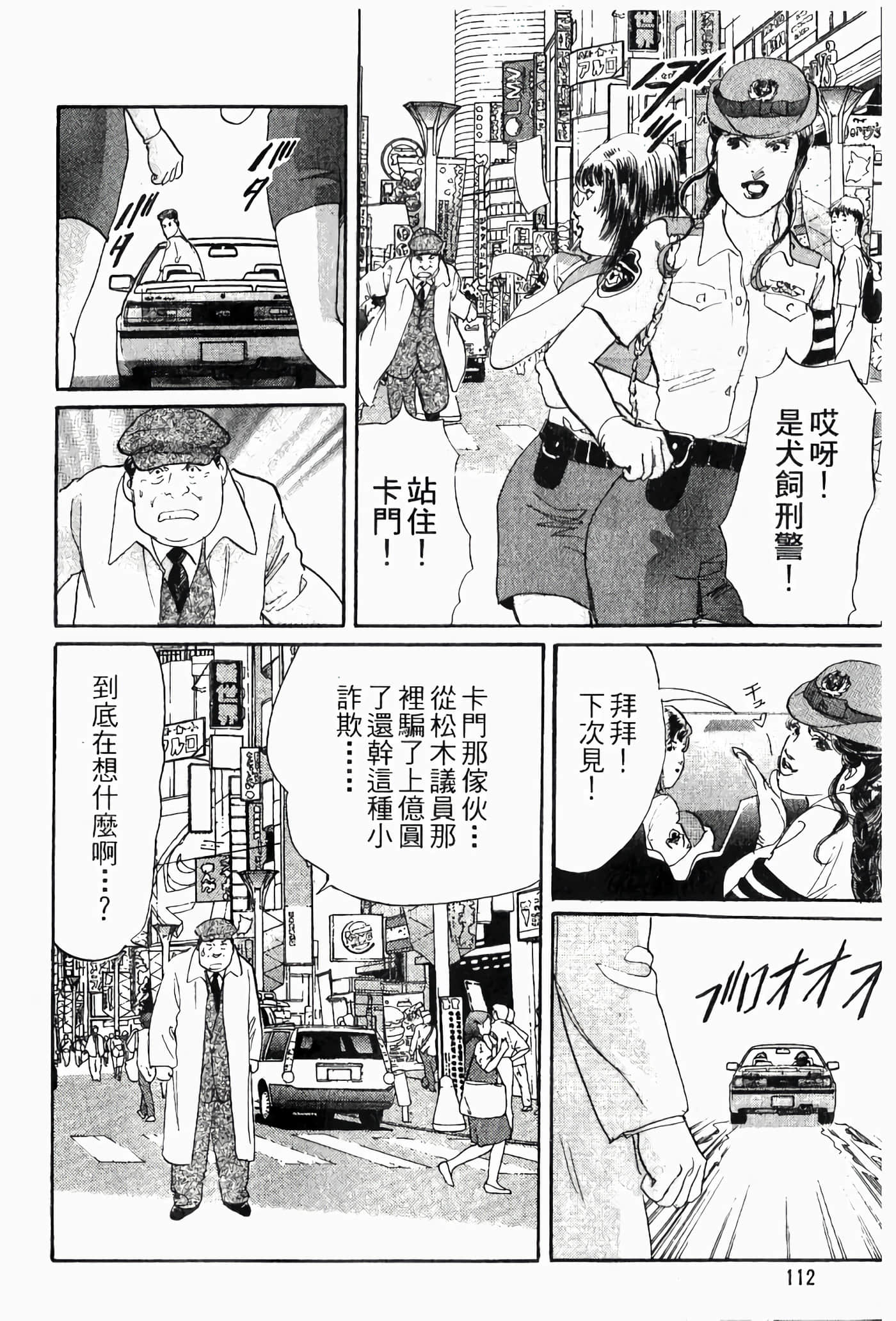Page 111