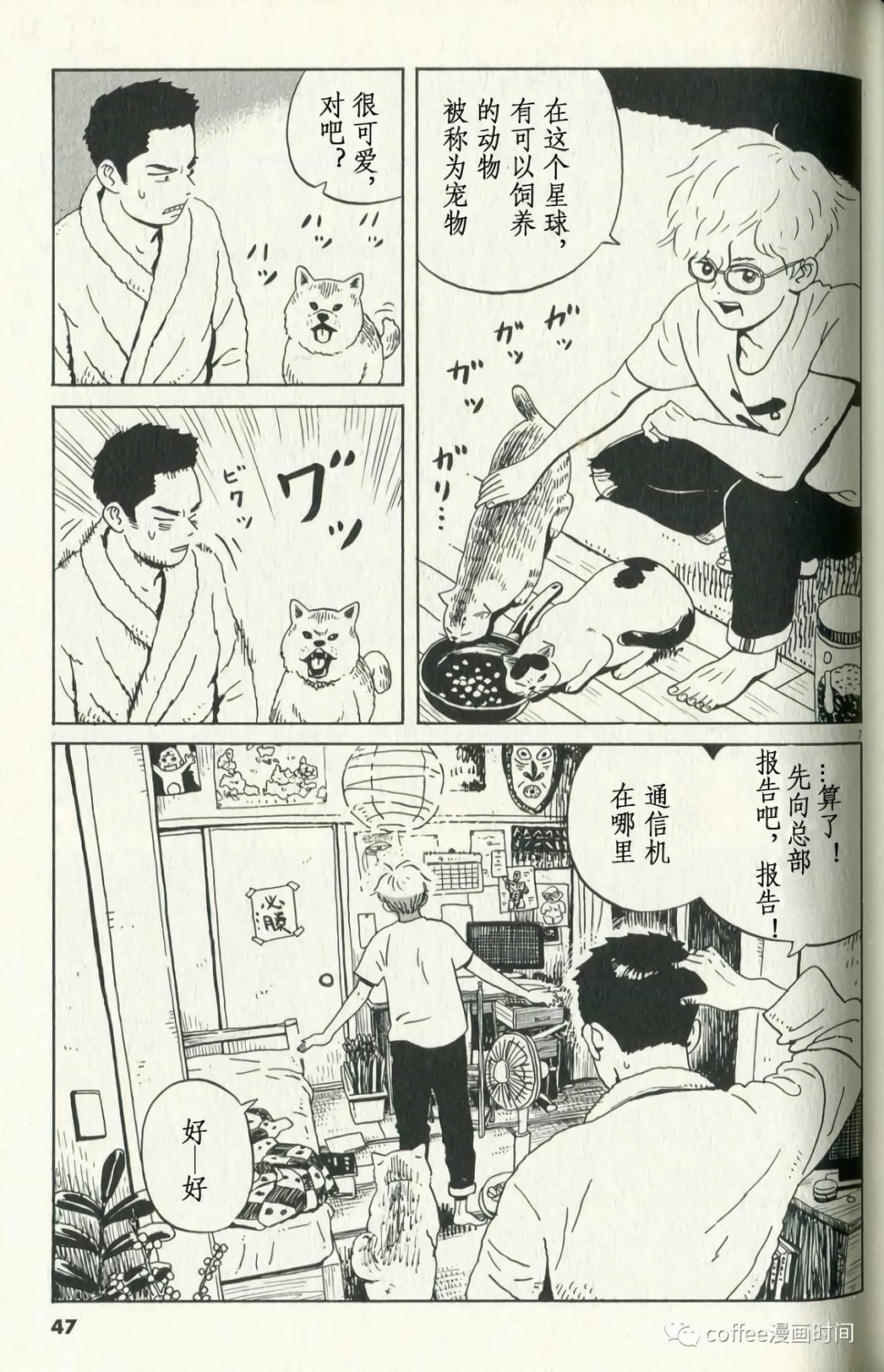 Page 7