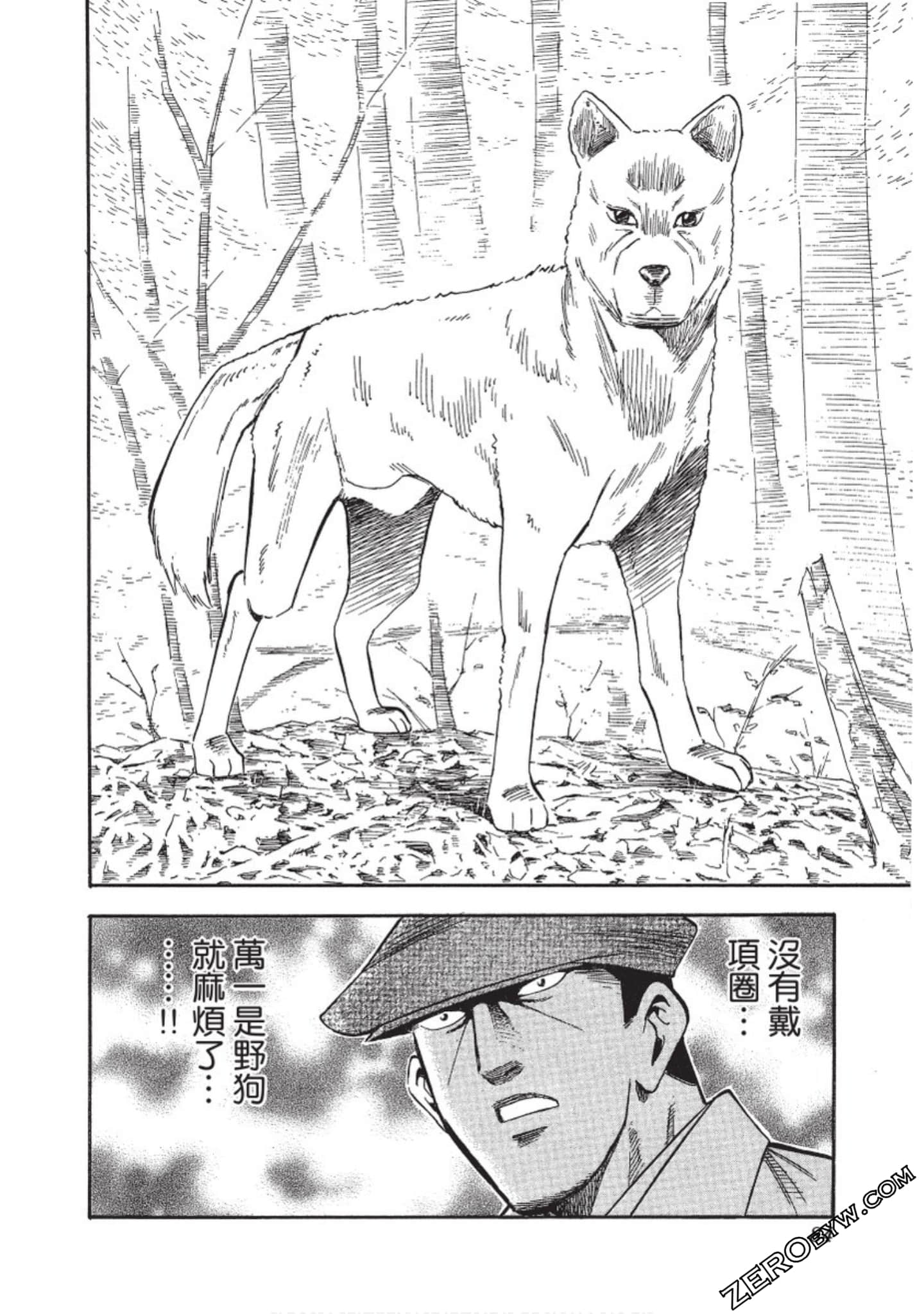 Page 85