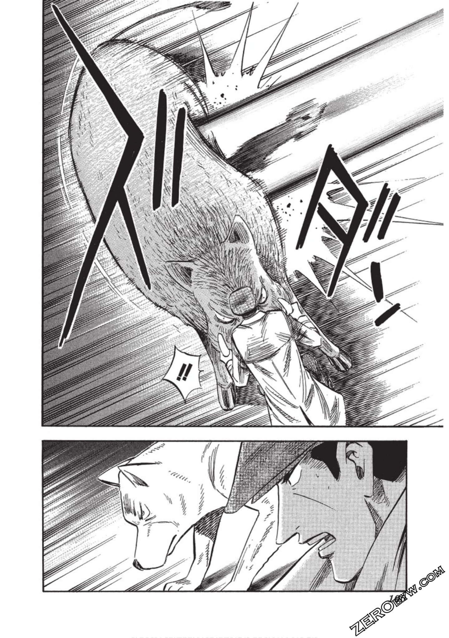 Page 101