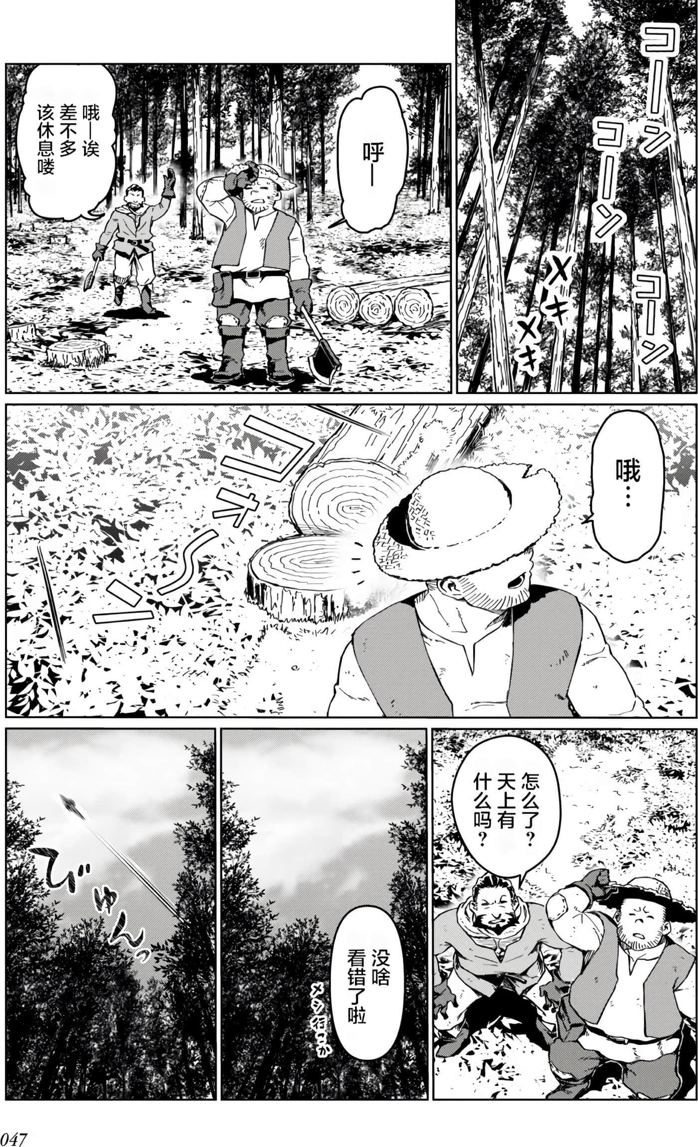 第 48 页