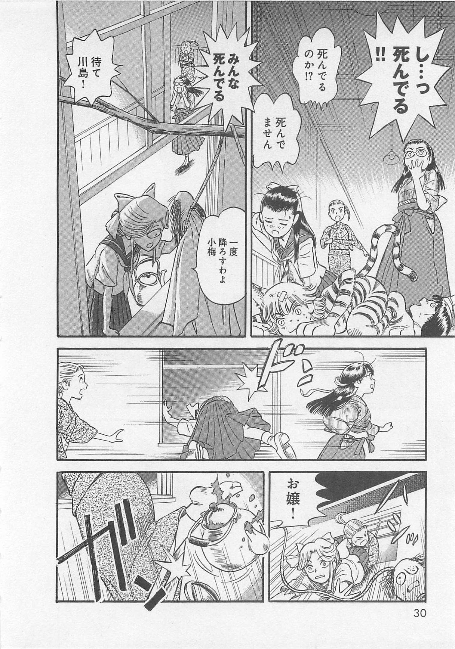 Page 31