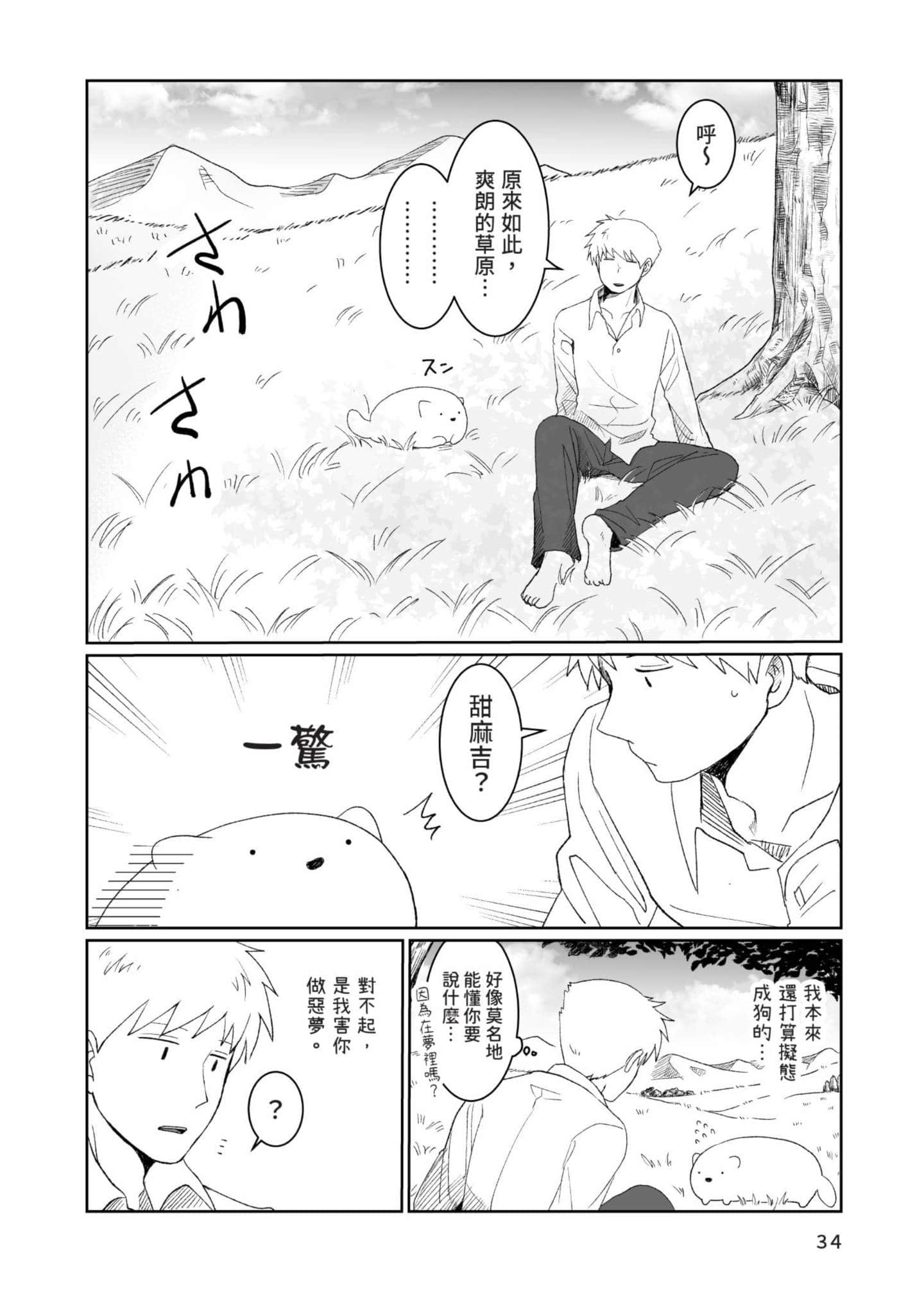 Page 35