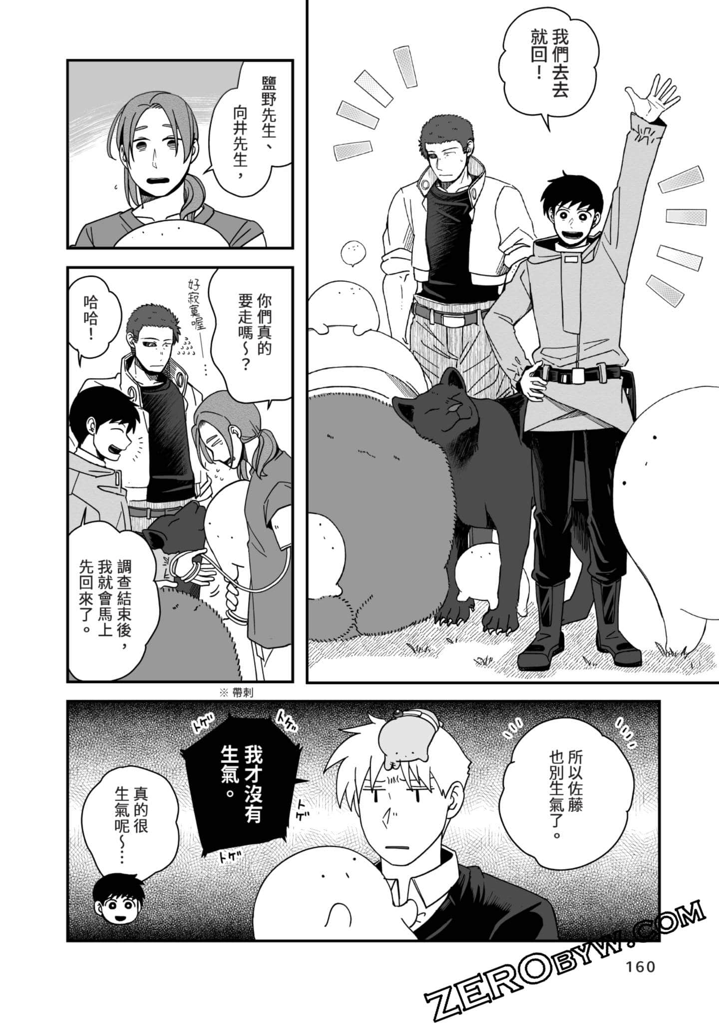 Page 161