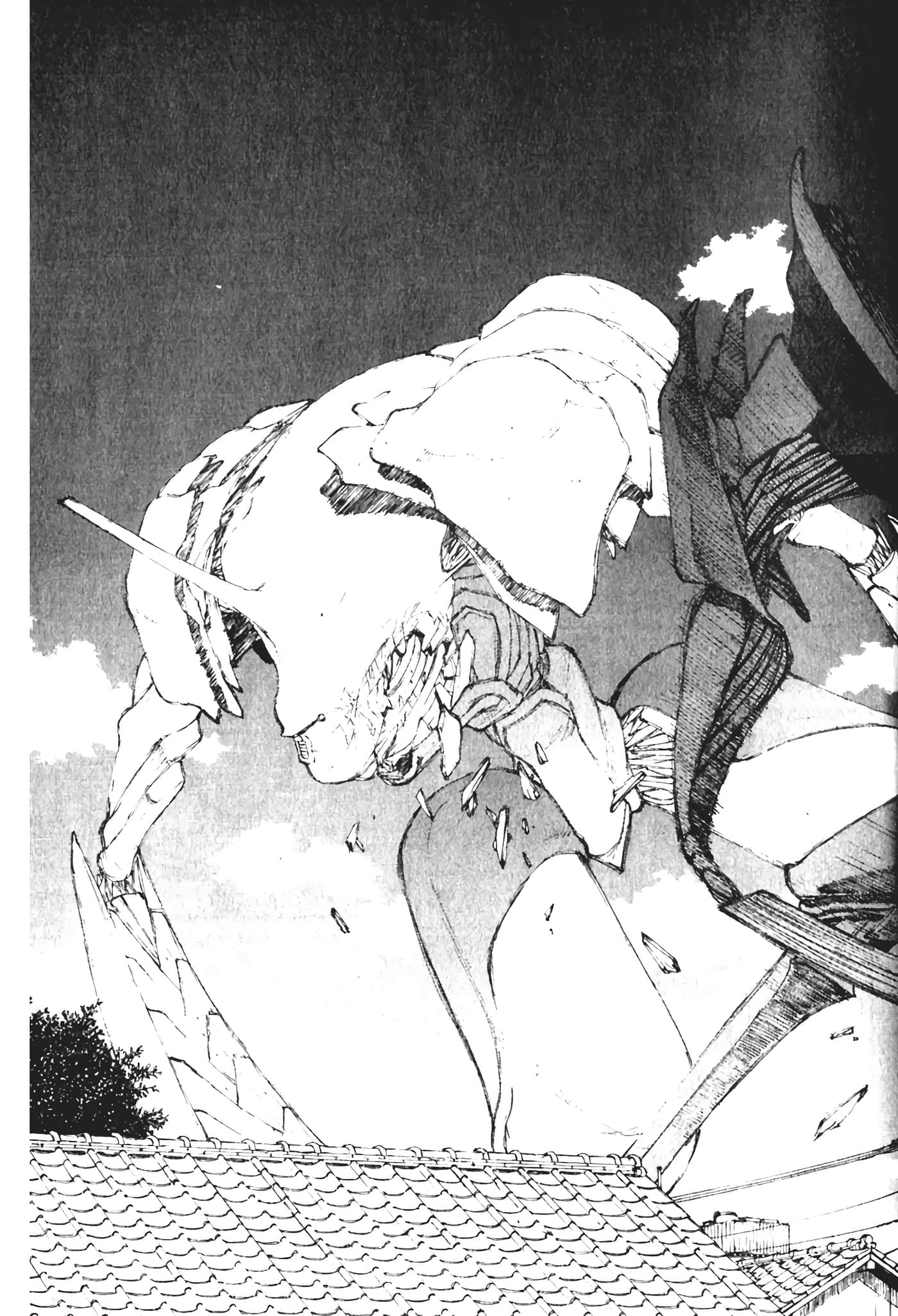 Page 215