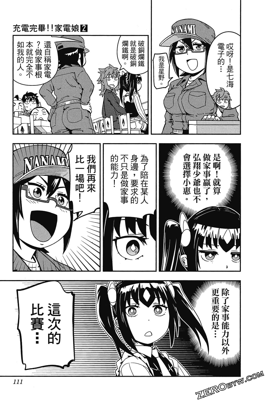 第 110 页