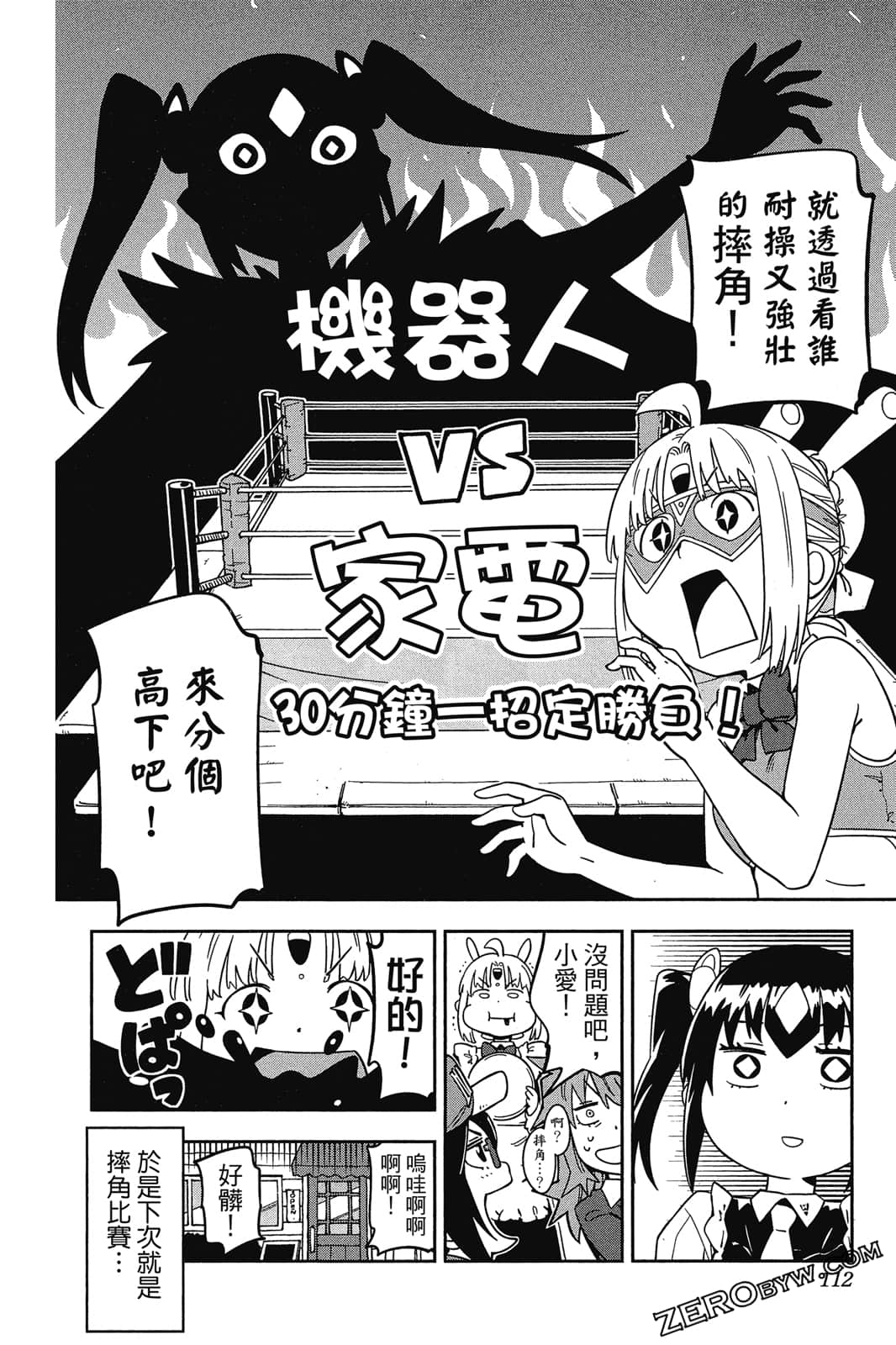 第 111 页