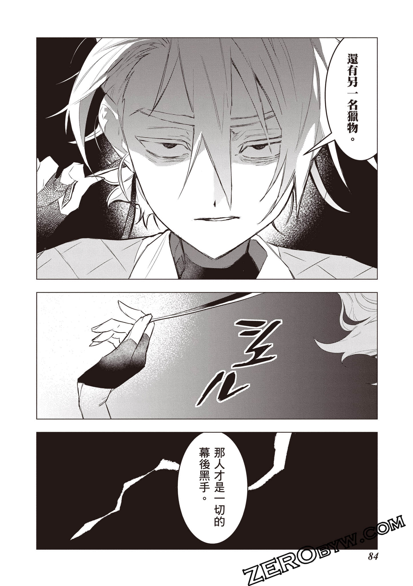 第 85 页
