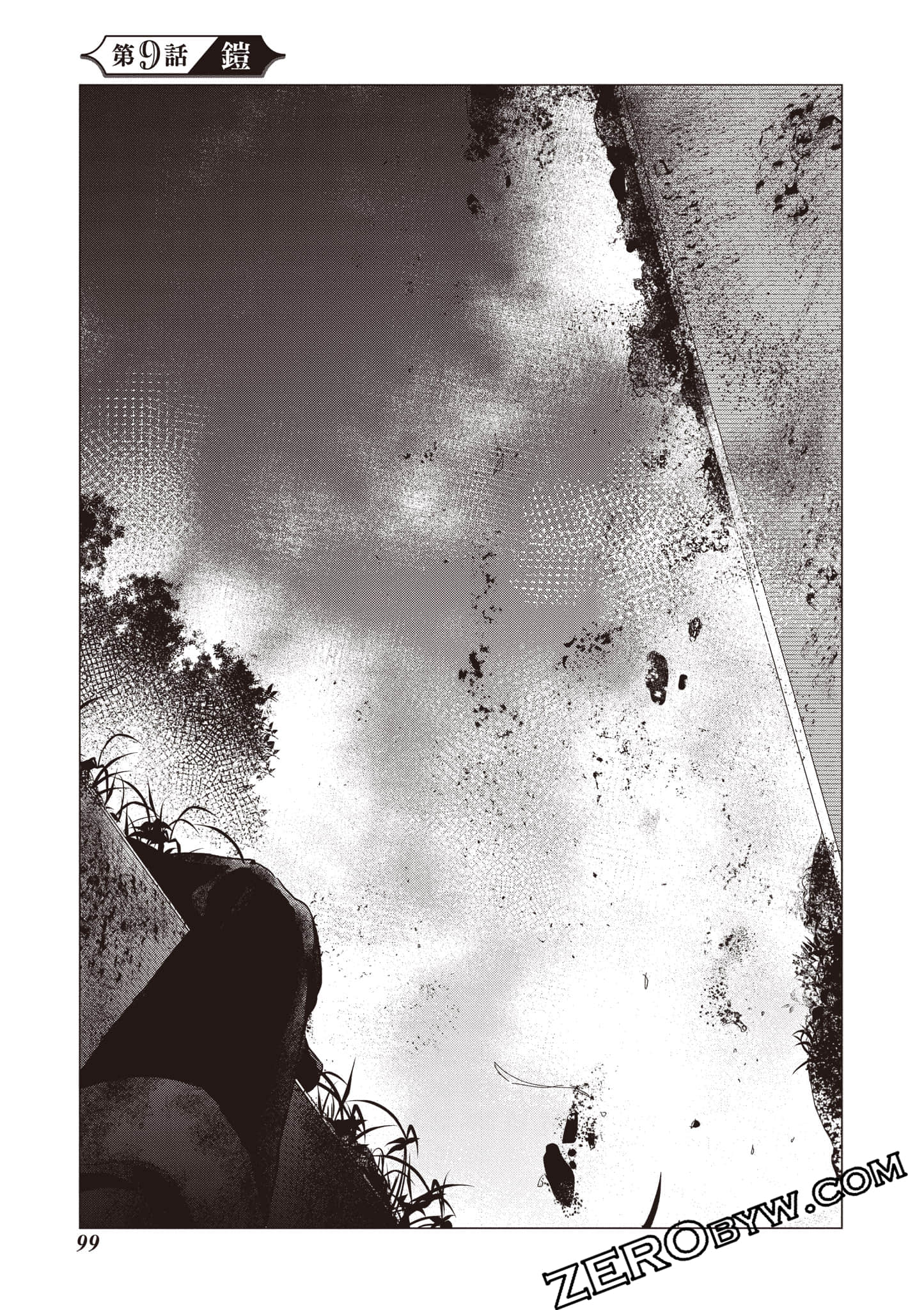 第 100 页
