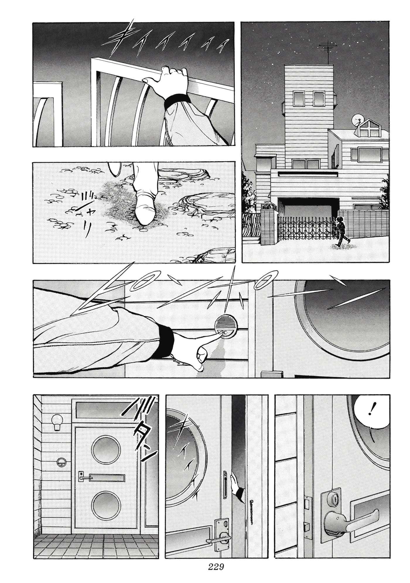 Page 229