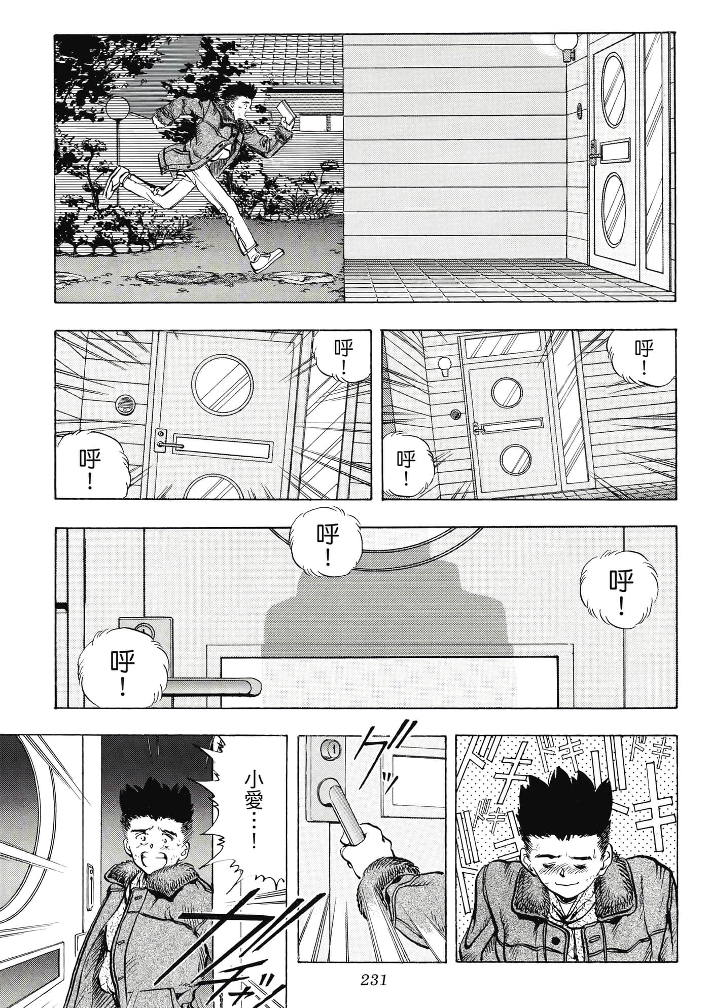 Page 231