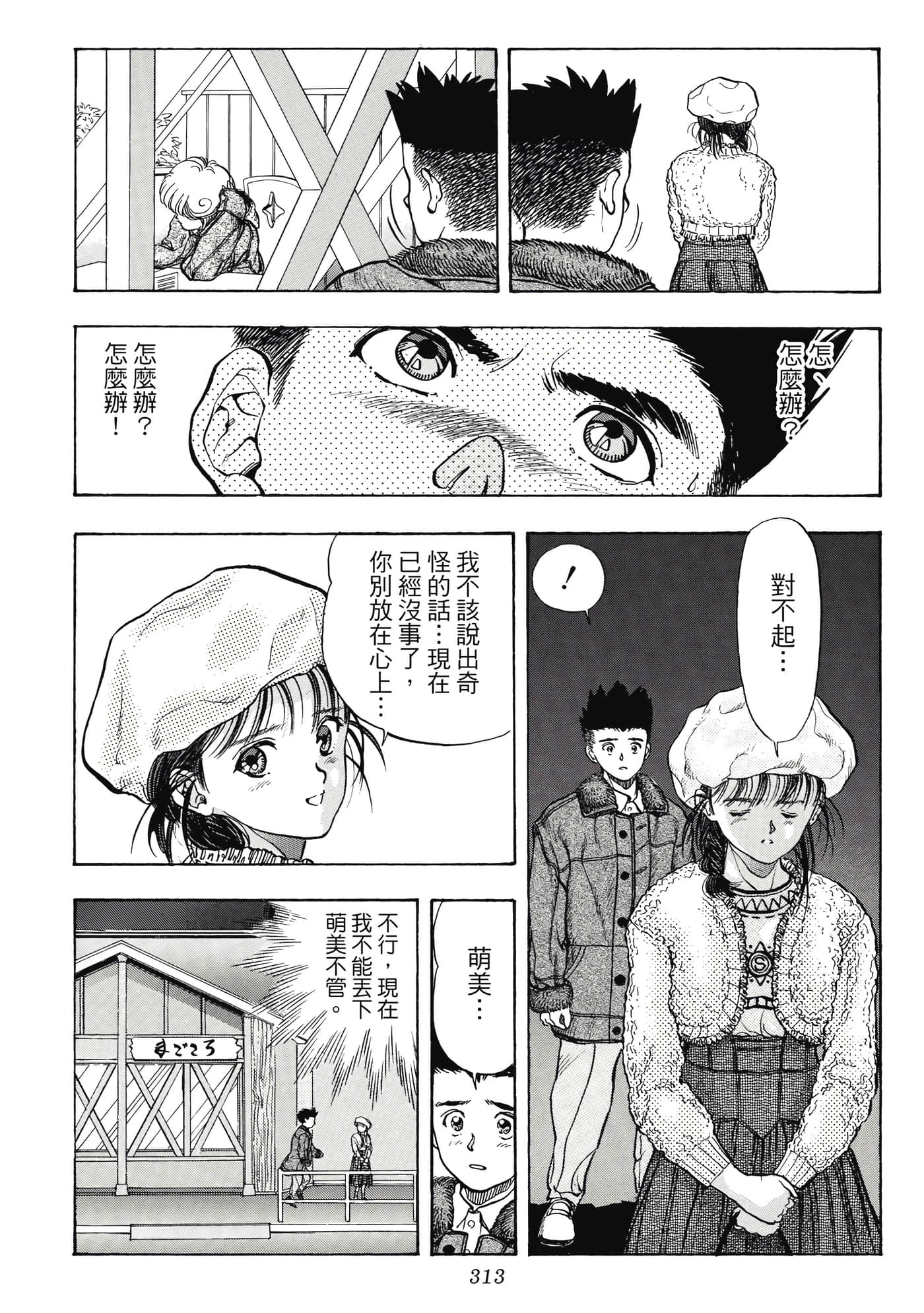 Page 313