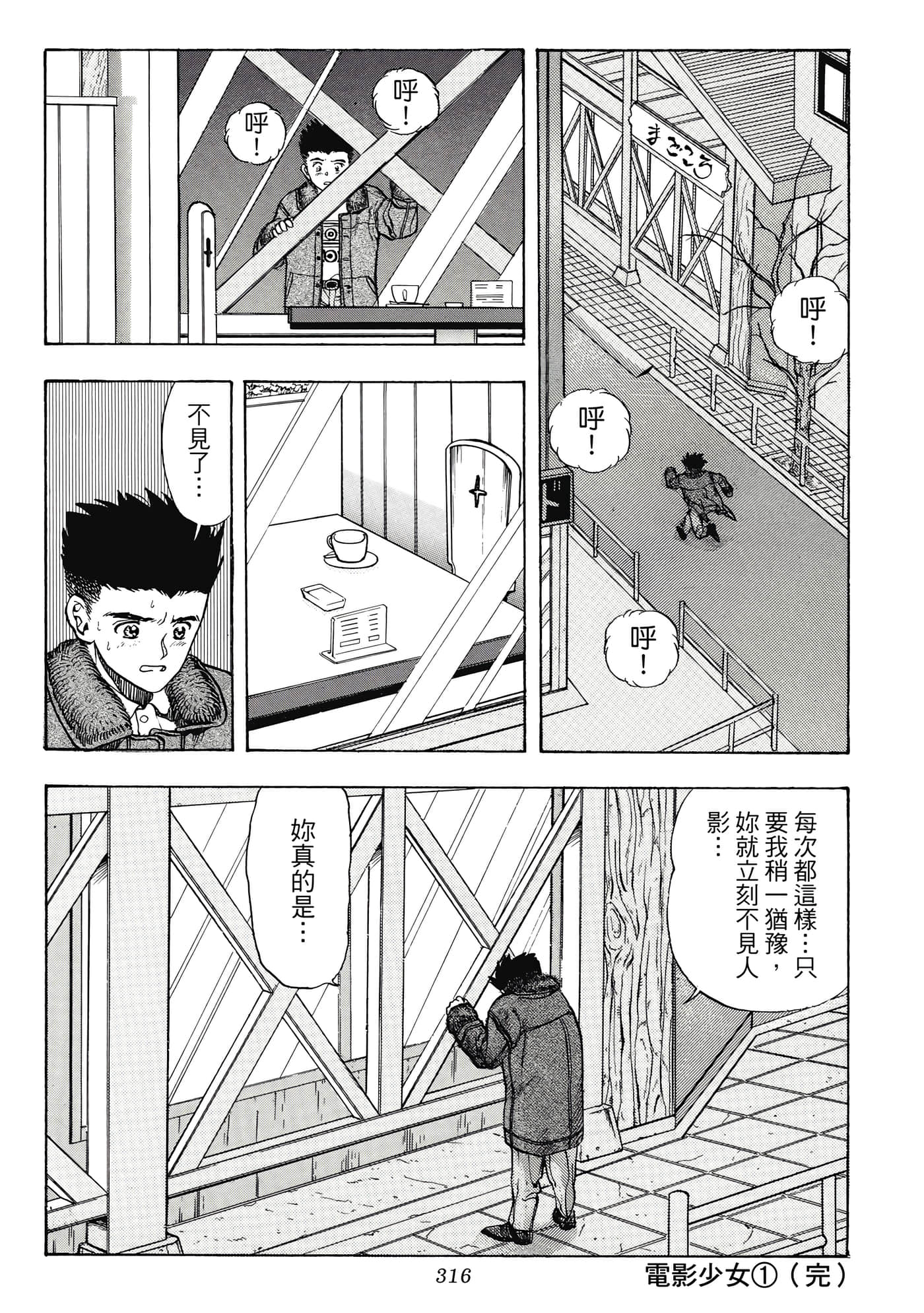 Page 316