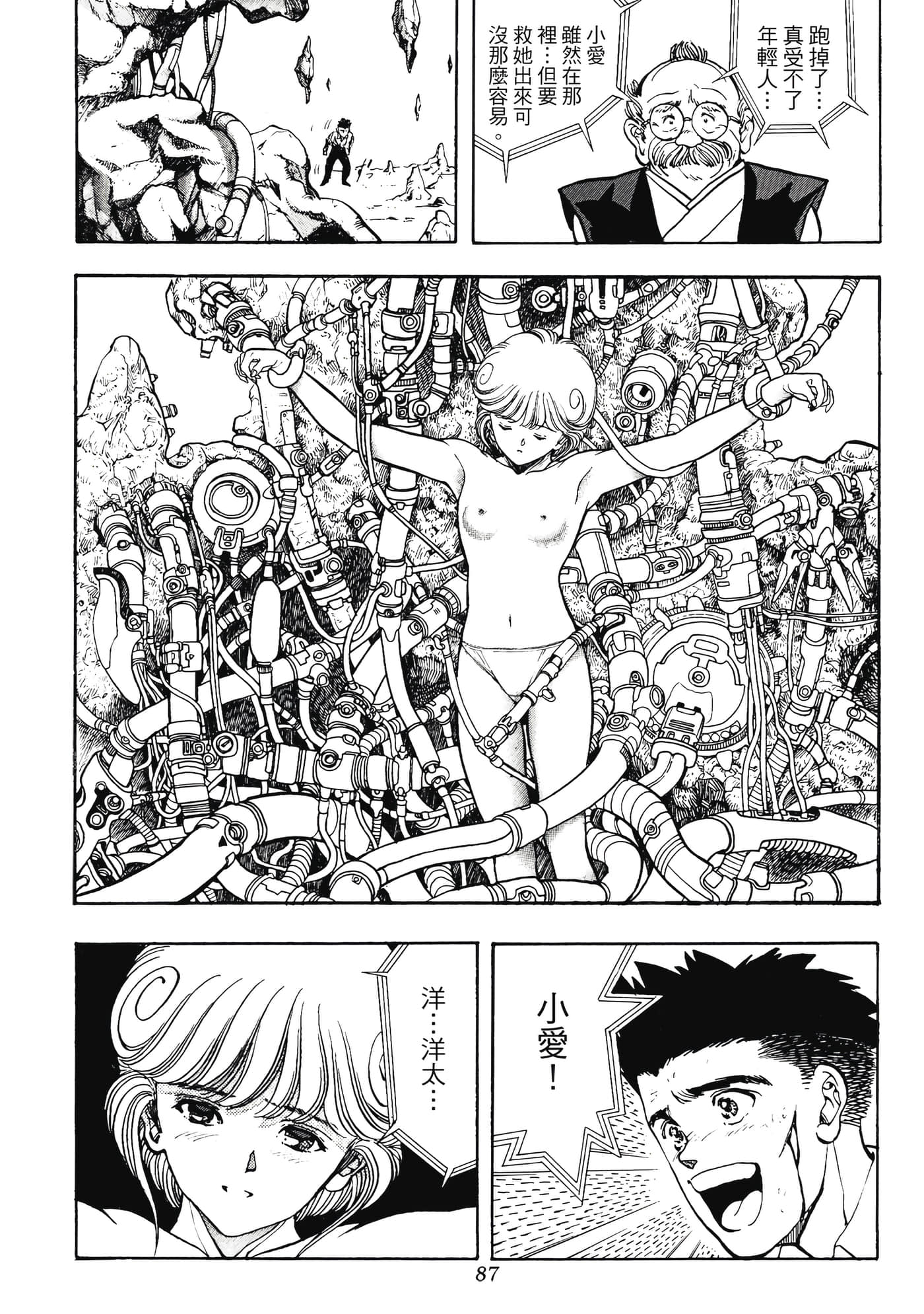 Page 87